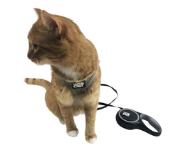 Travel Cat | Your Cat Backpack - "The Captain" Retractable Leash for Cats