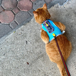 Travel Cat | Your Cat Backpack - "The Pathfinder" Cat Harness with GPS Tracker Pocket - Power: Orange Sunset / L