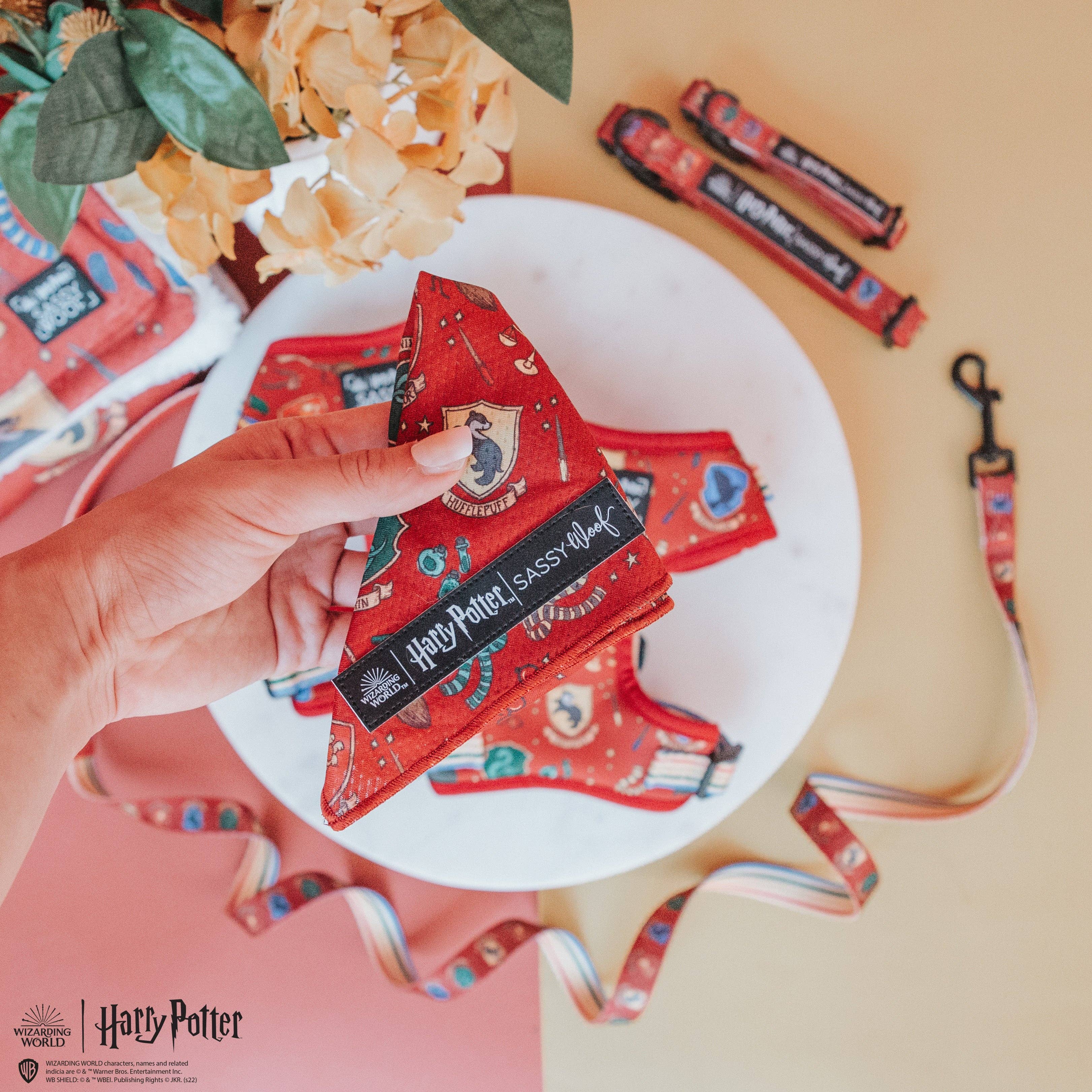 SASSY WOOF - Dog Bandana - Harry Potter™: Medium