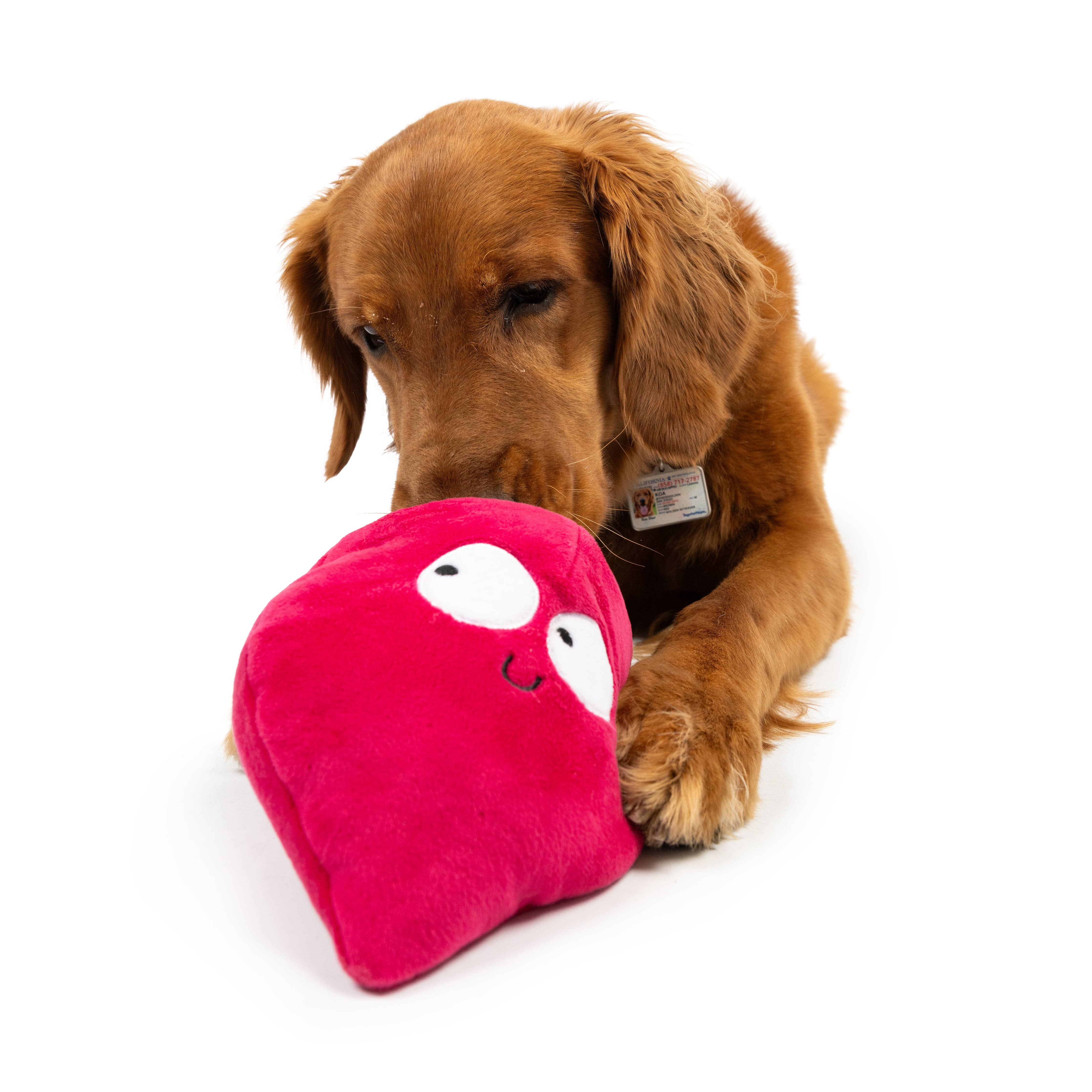 Huxley & Kent - Pop 'n Fetch Beet Dog Toy: Small