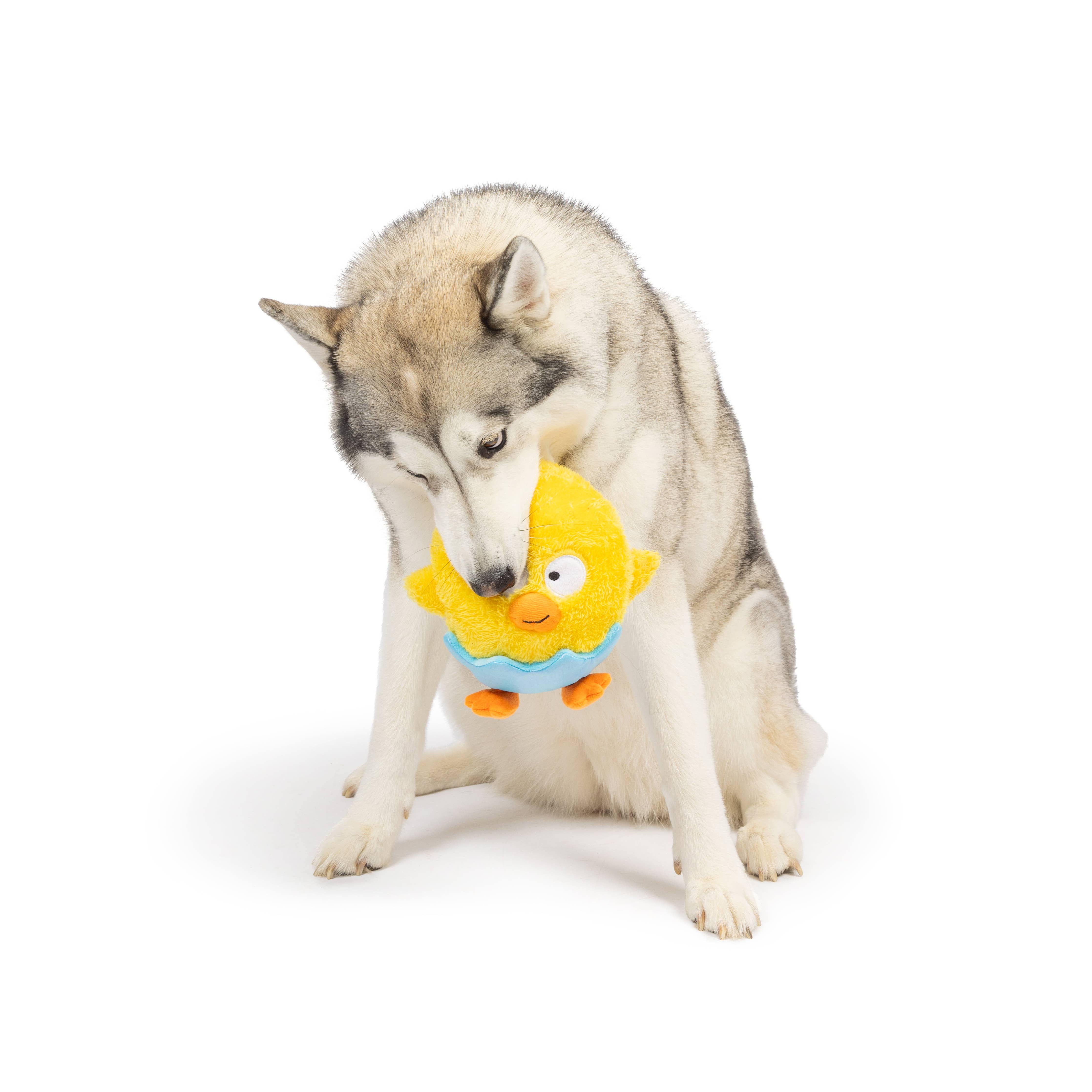 Huxley & Kent - Chick-A-Dee Dog Toy: Small