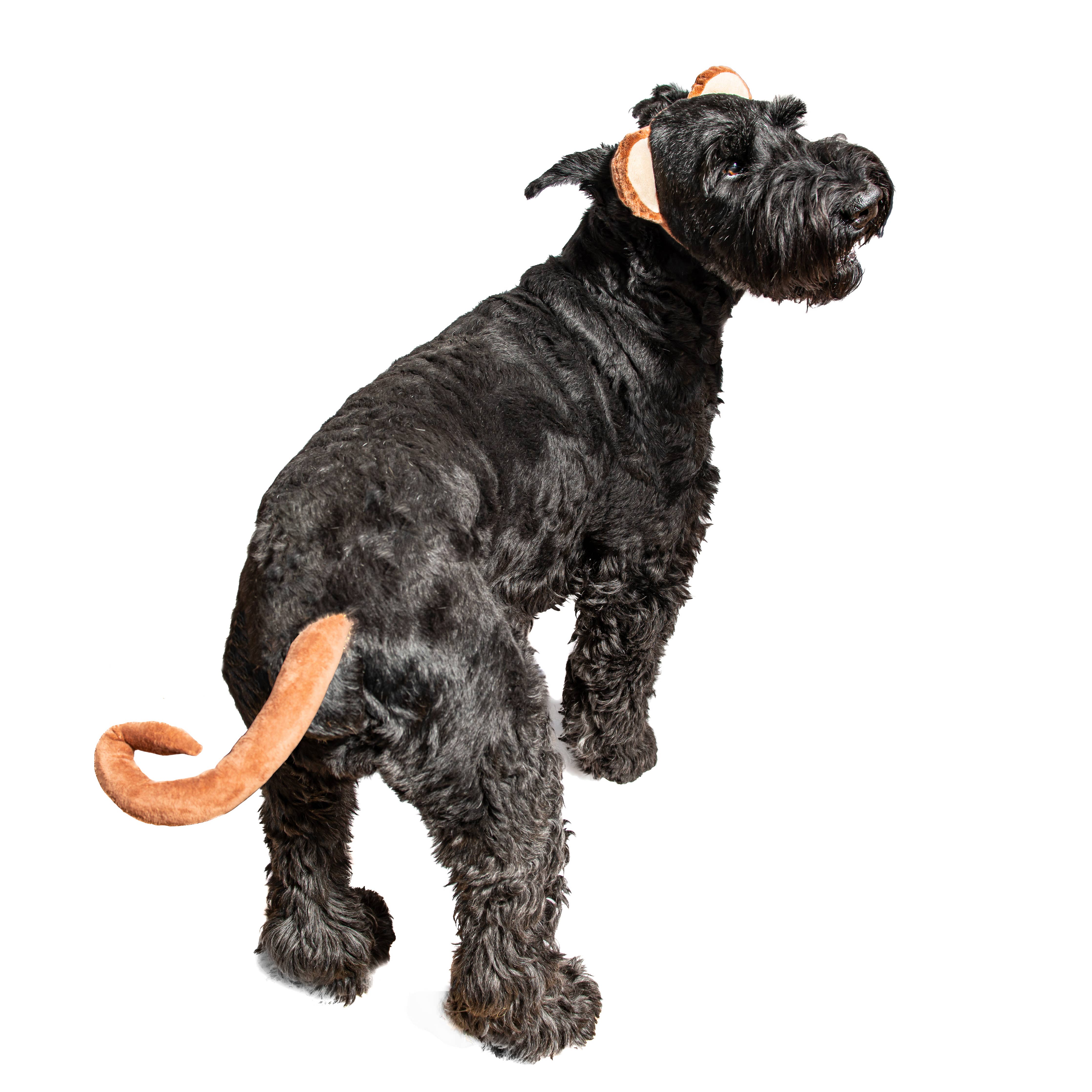 Midlee Designs - Midlee Monkey Headband and Tail Halloween Dog Costume