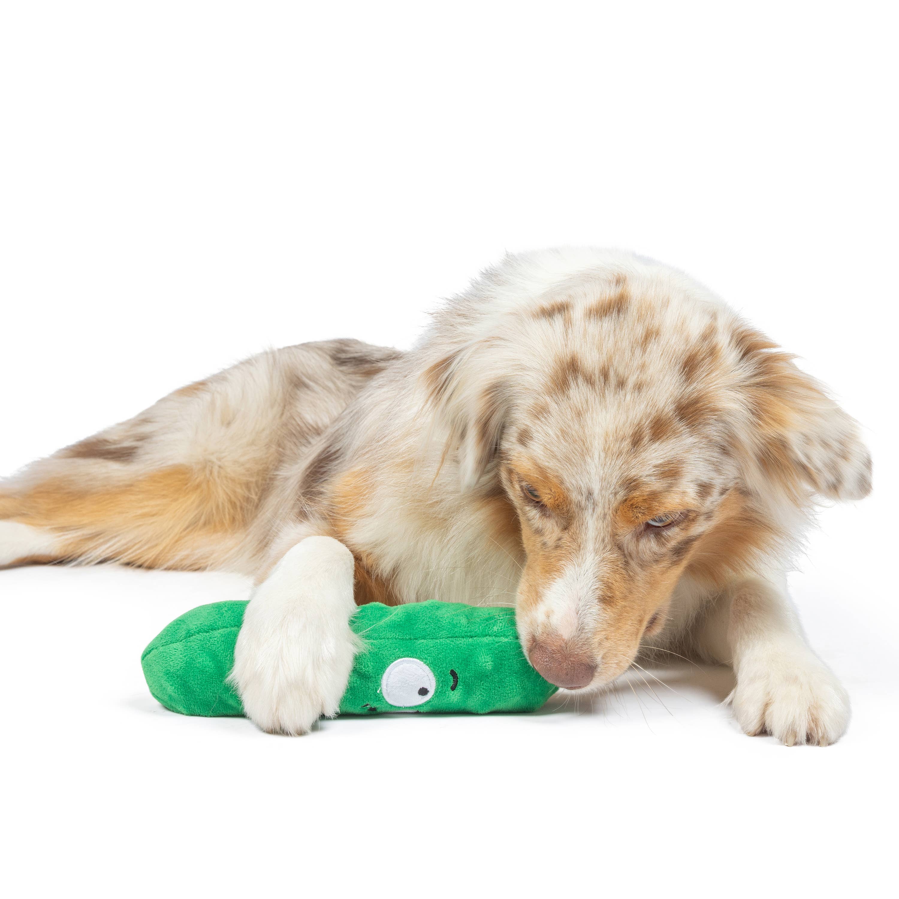 Huxley & Kent - Fetchies® Dell Pickle Dog Toy: Small