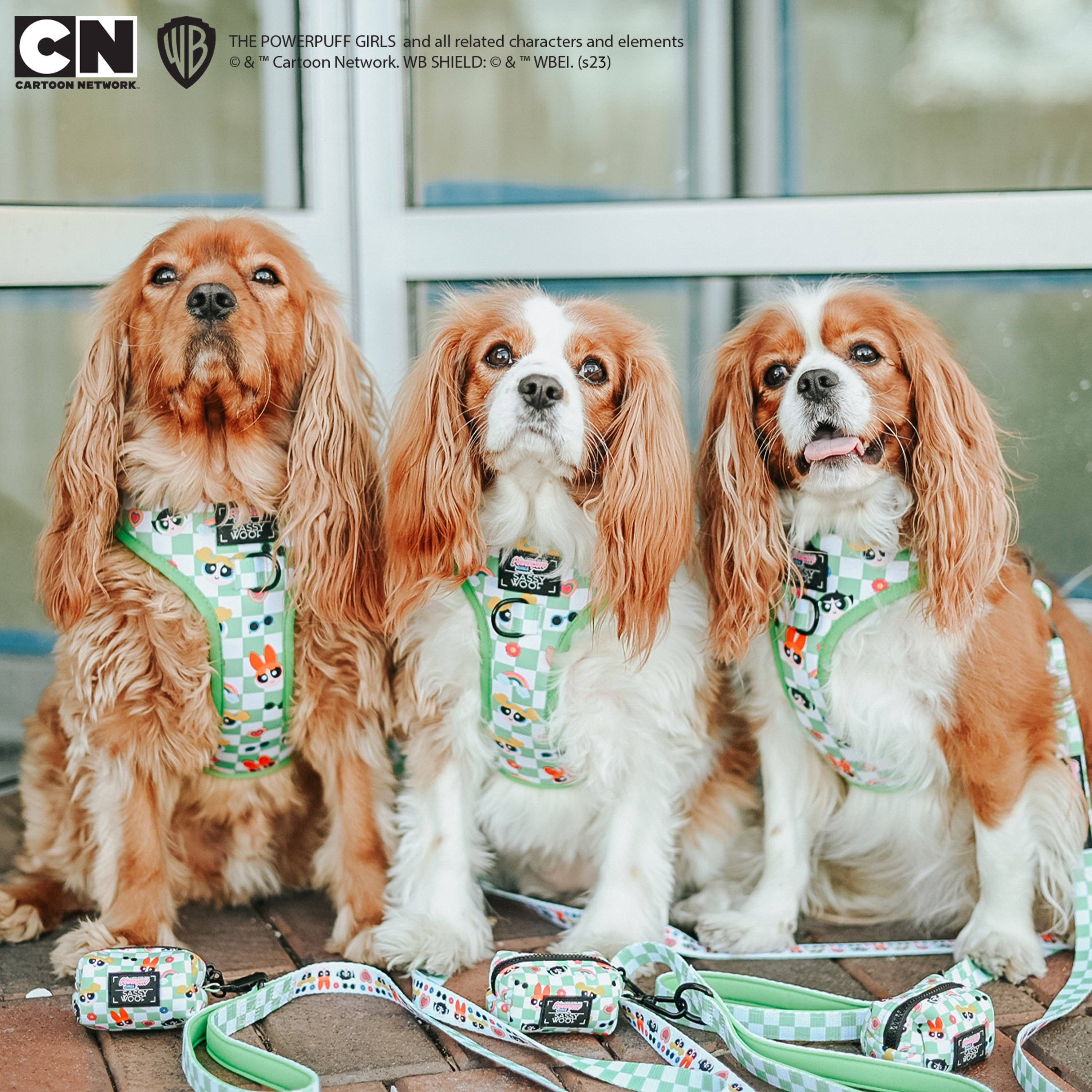 SASSY WOOF - Dog Leash - The Powerpuff Girls™ (Green)