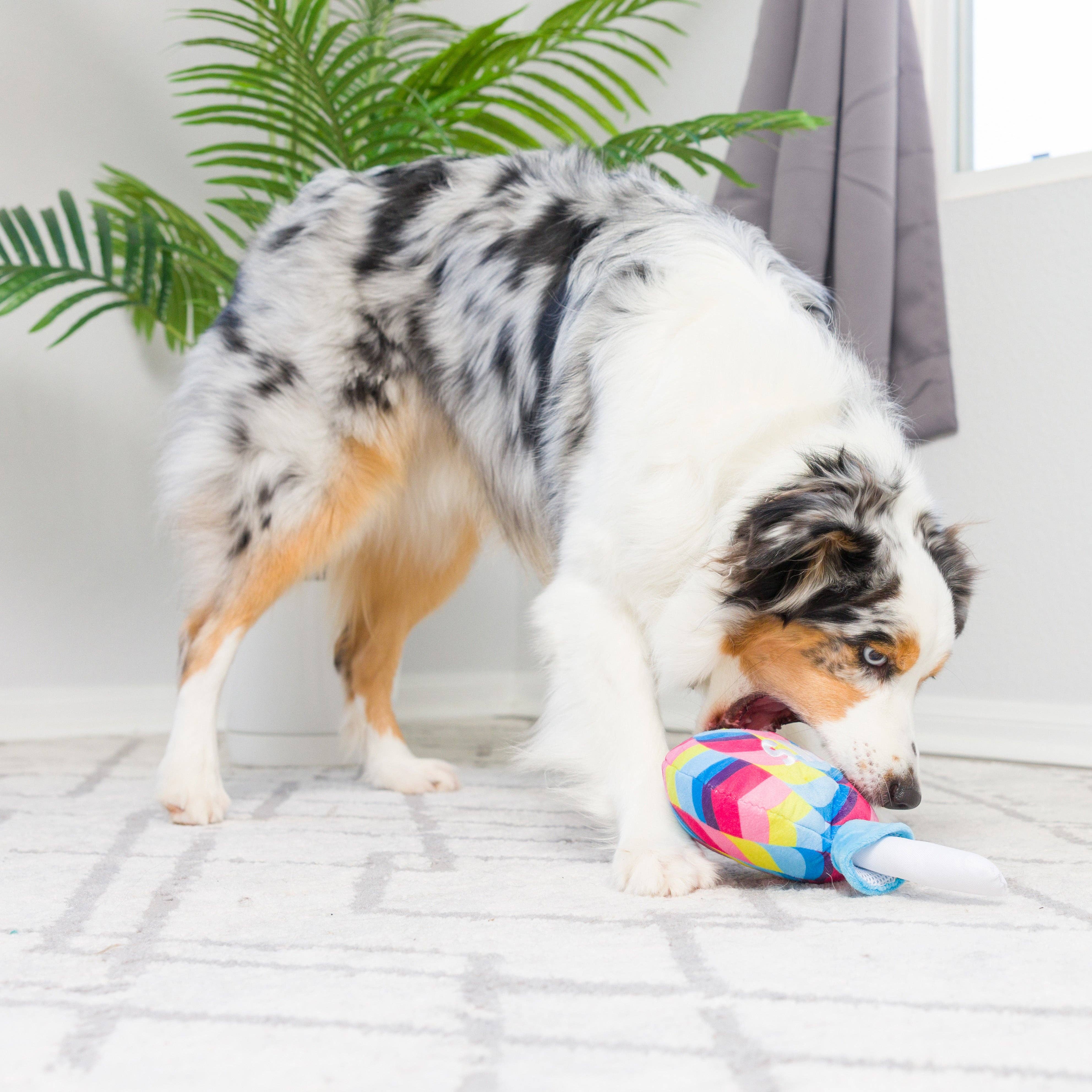Huxley & Kent - I'm Sweet Lollipop Dog Toy: Small