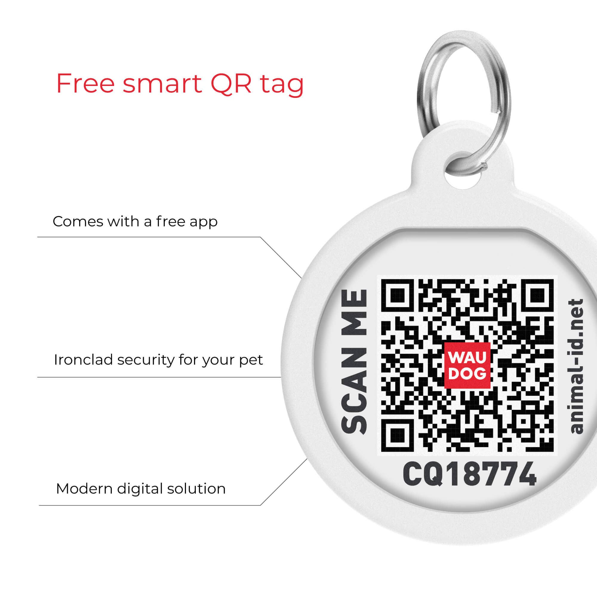 WAUDOG - Glamour Reinforced Rolled Leather Collar With Metal Clasp: S 16 in / Black