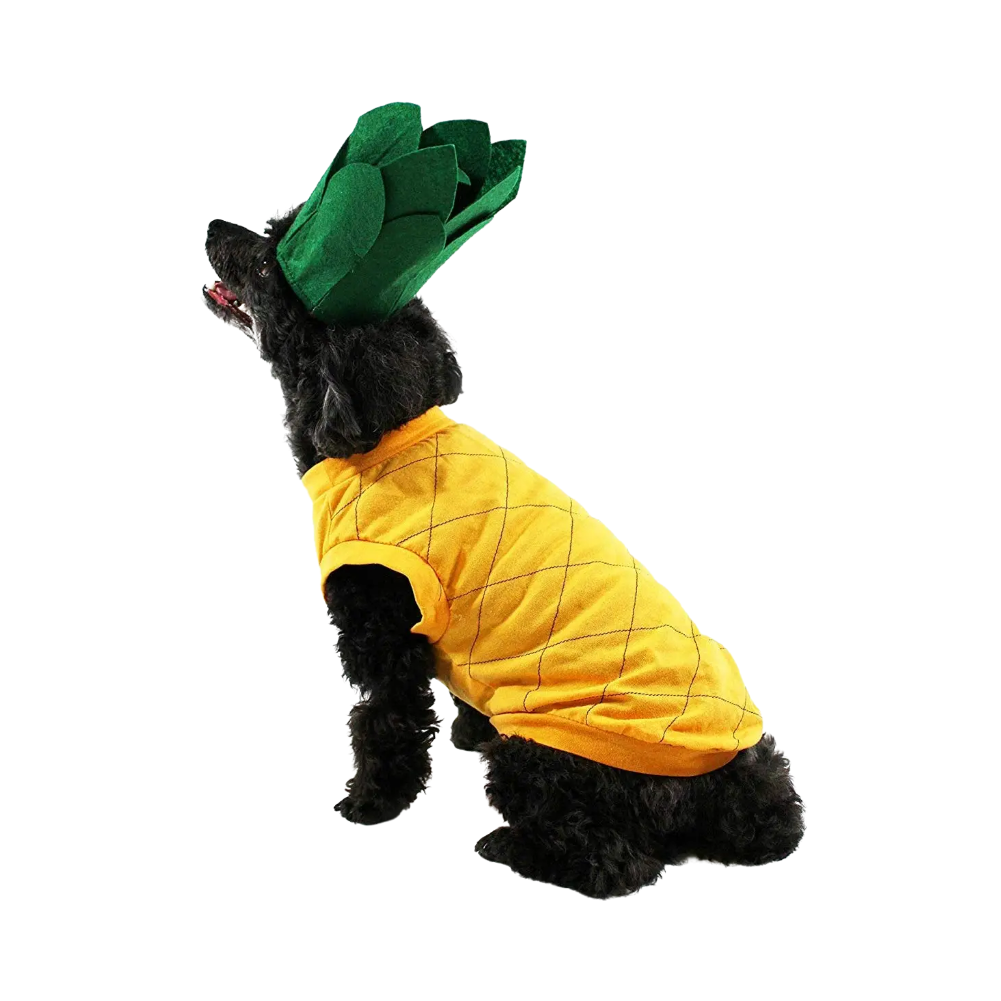 Midlee Designs - Midlee Pineapple Dog Costume: Medium