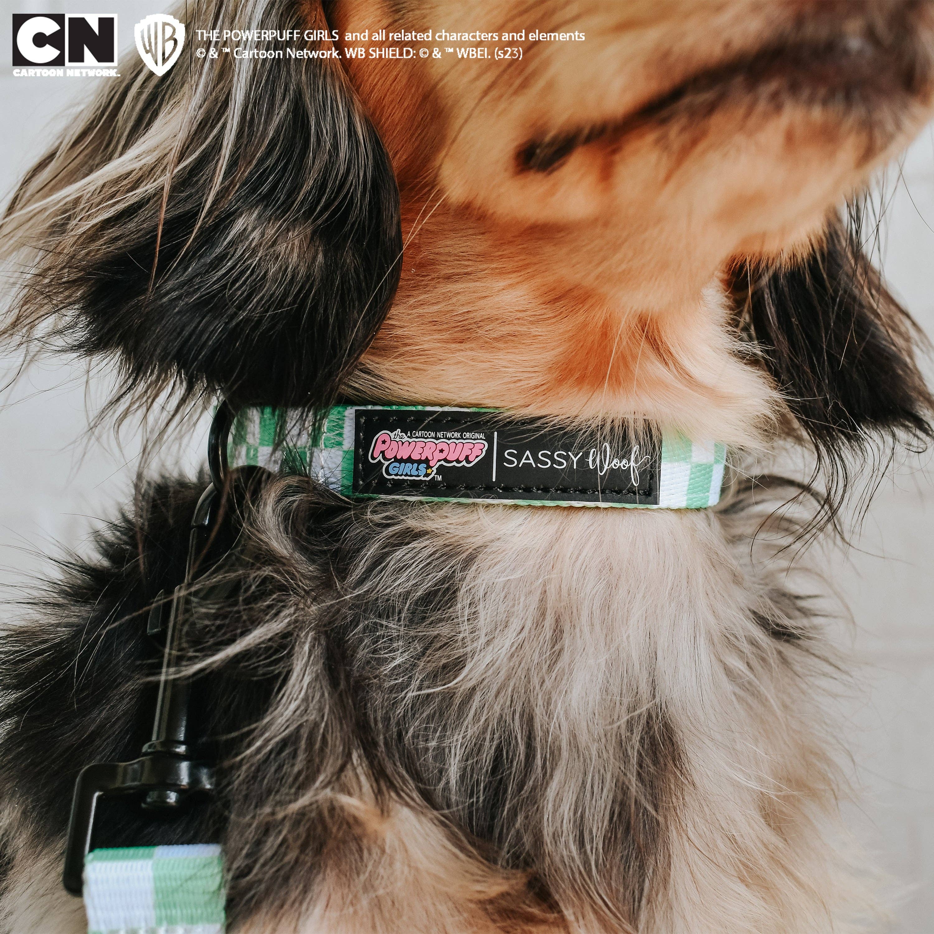 SASSY WOOF - Dog Collar - The Powerpuff Girls™ (Green): Small