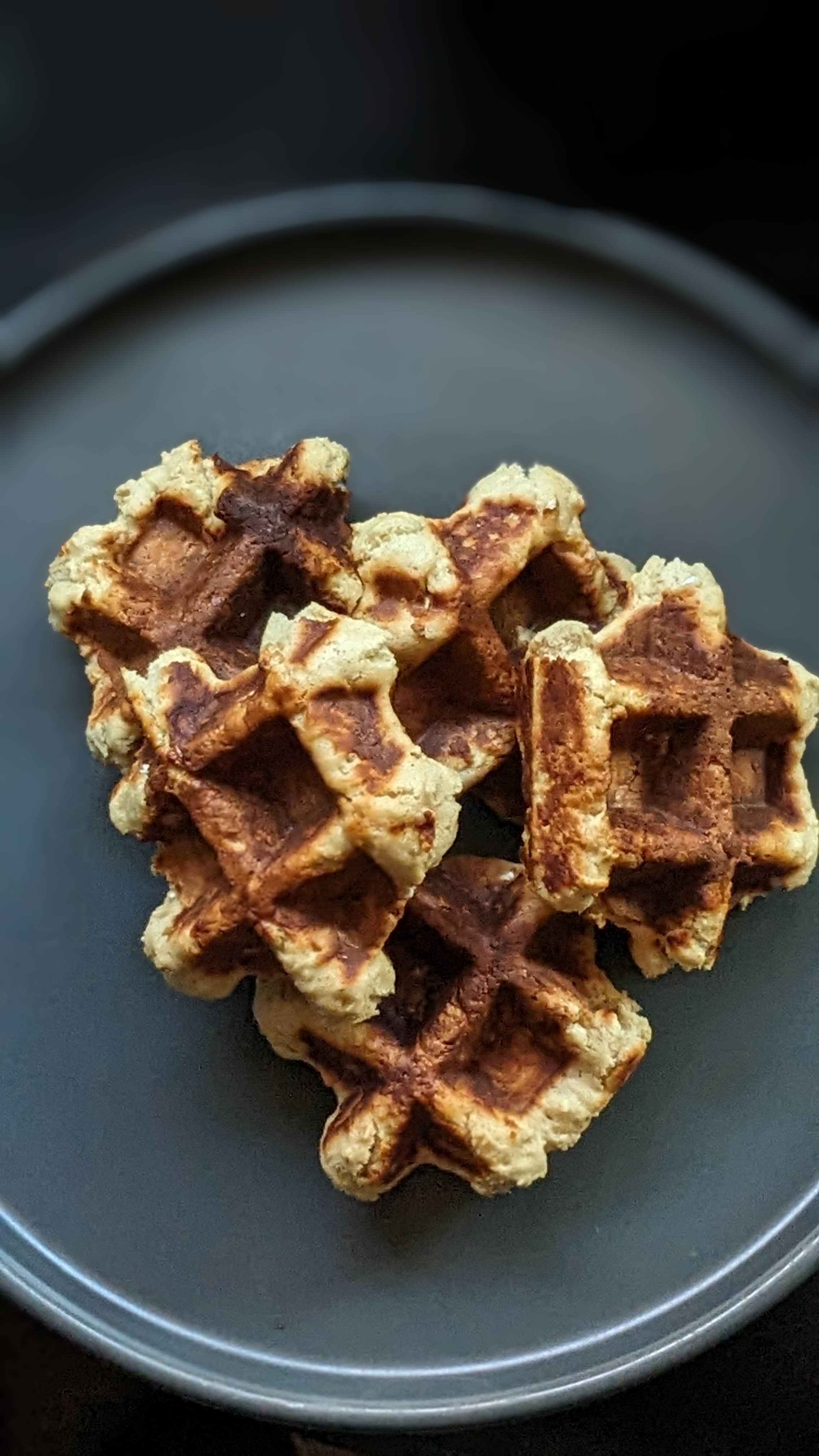 Chester's Dog Treats, LLC - CHESTER'S S'MORES DOG TREAT WAFFLES FOR MOBILITY