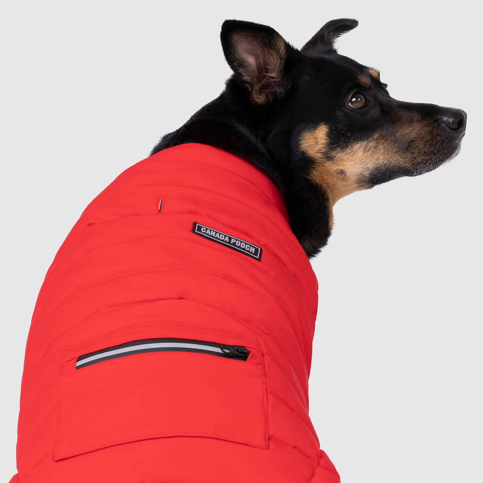 Canada Pooch - Ultimate Stretch Vest- Dog Coat: Black / 10