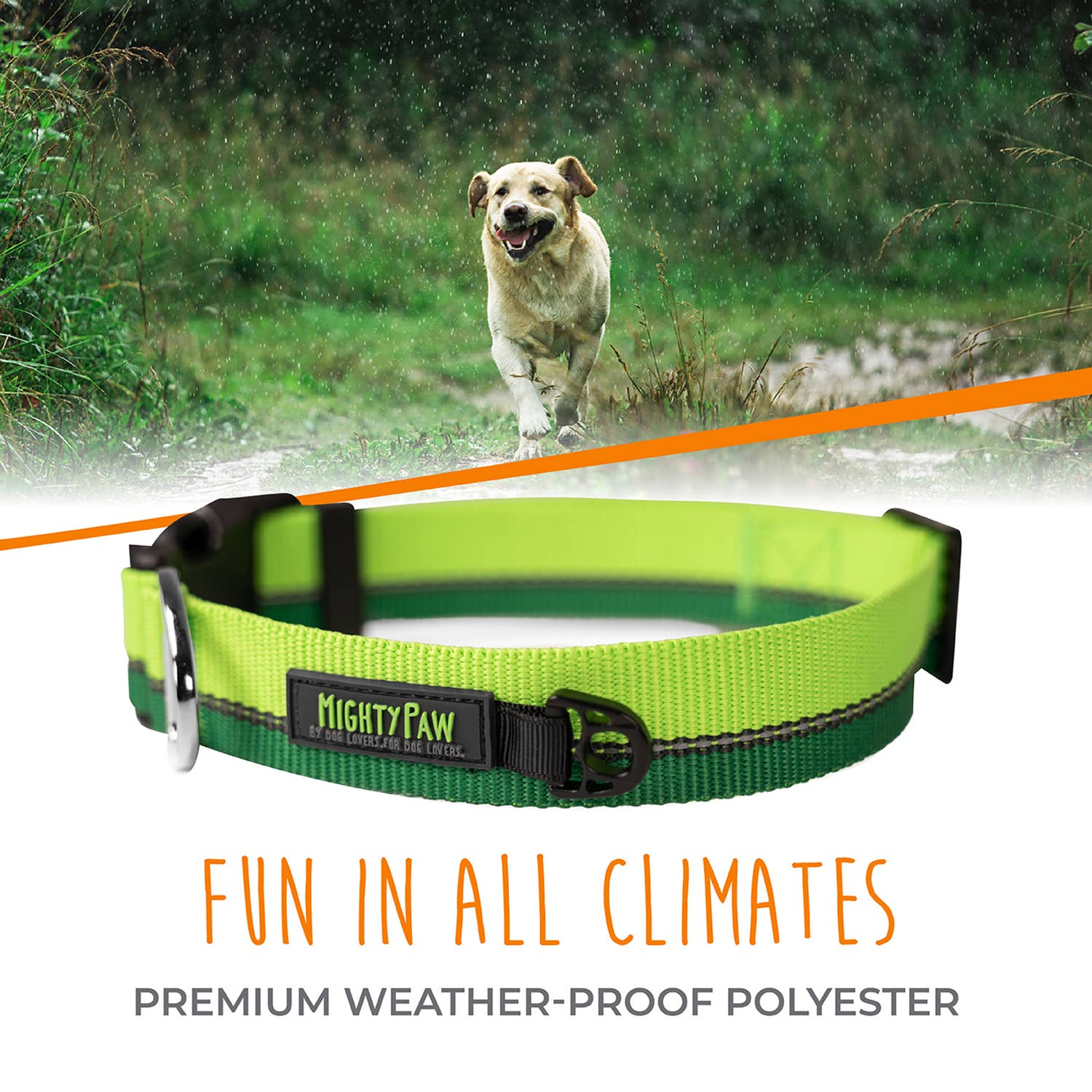 Mighty Paw - Standard Reflective Colorblast Dog Collar: Green / Large
