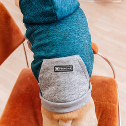 Frenchie - Frenchie Dog Hoodie - Blue & Grey: M