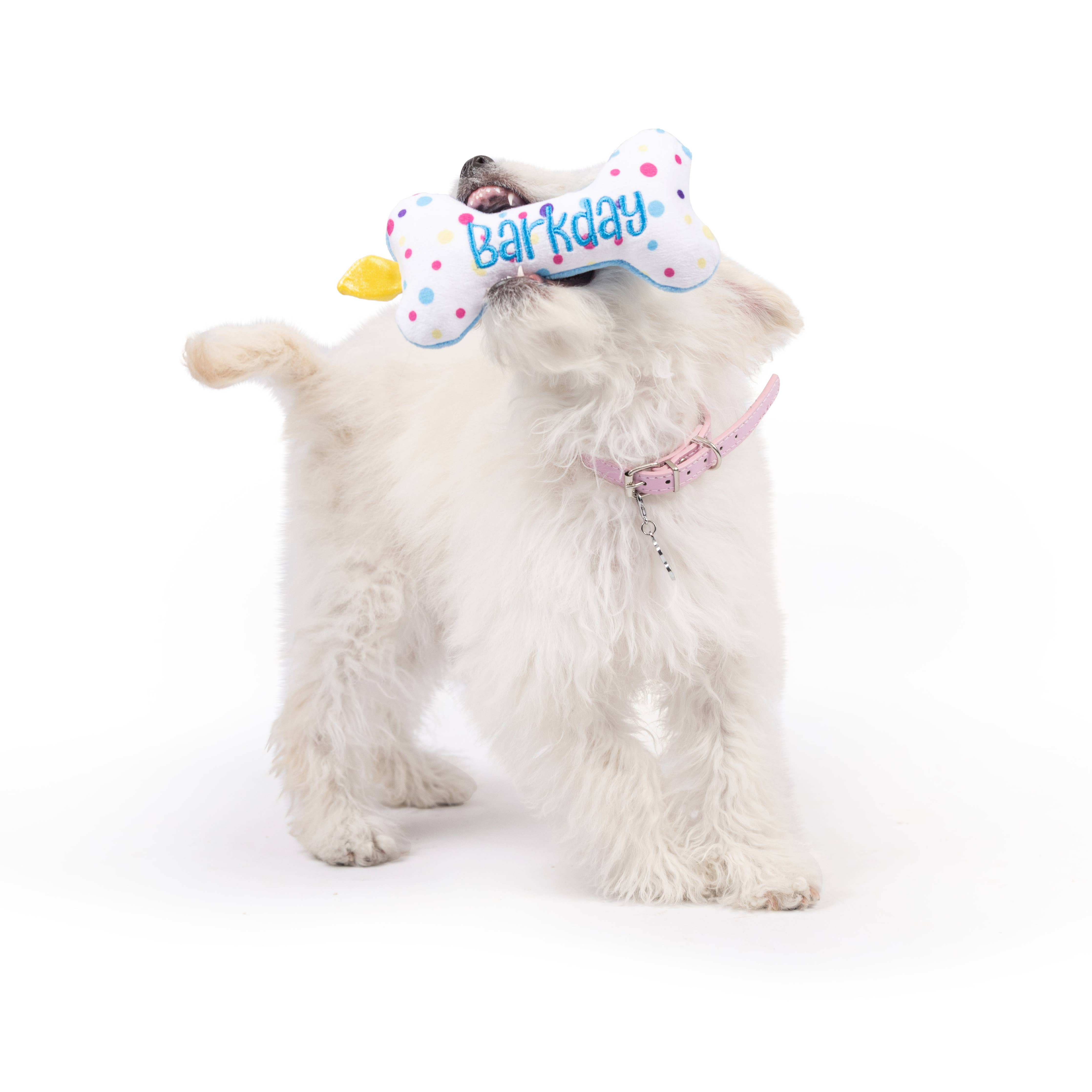 Huxley & Kent - Tiny Tuff It's My Barkday Bone: One Size