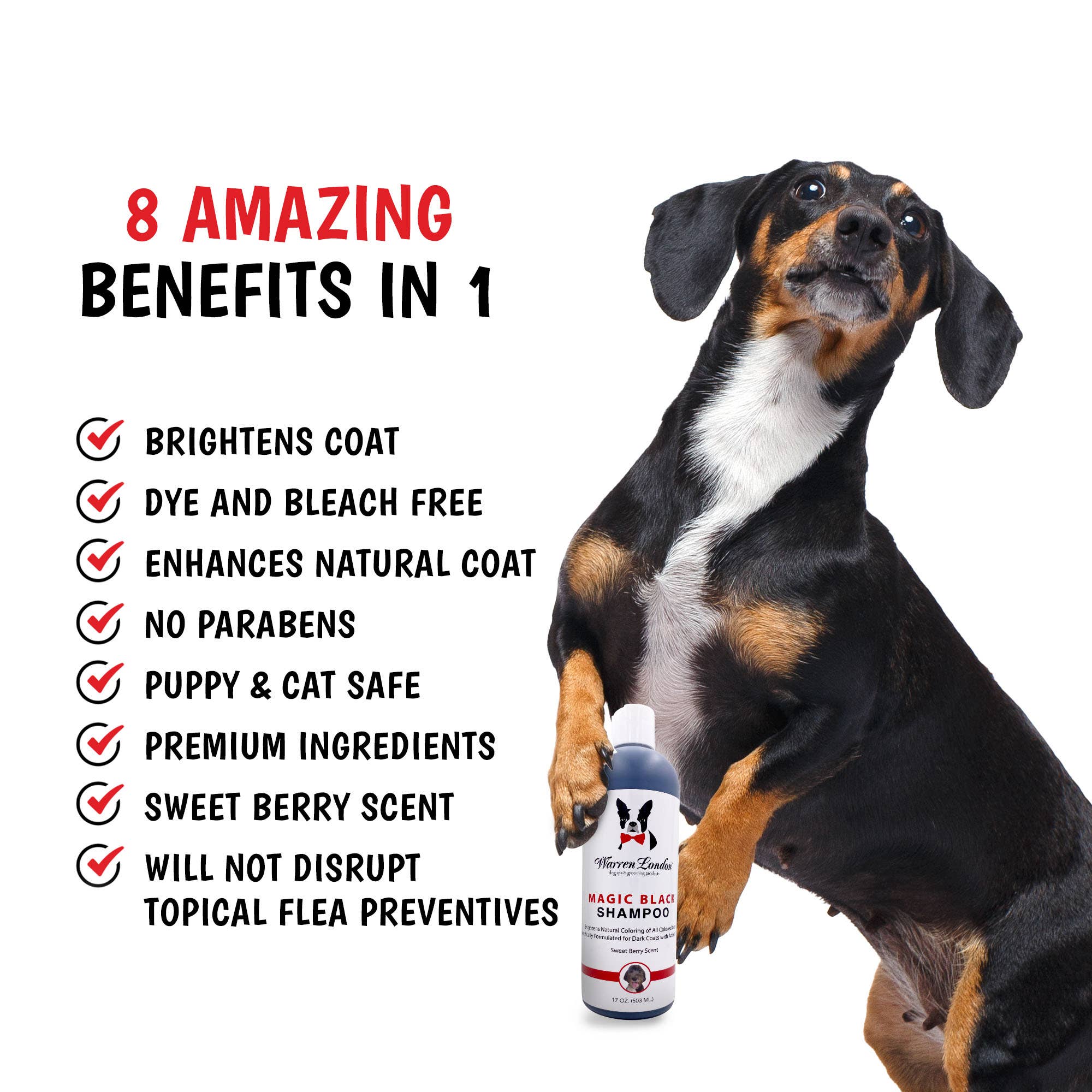 Magic Black Brightening Dog Shampoo: 17oz