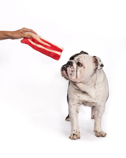 Bacon Dog Toy