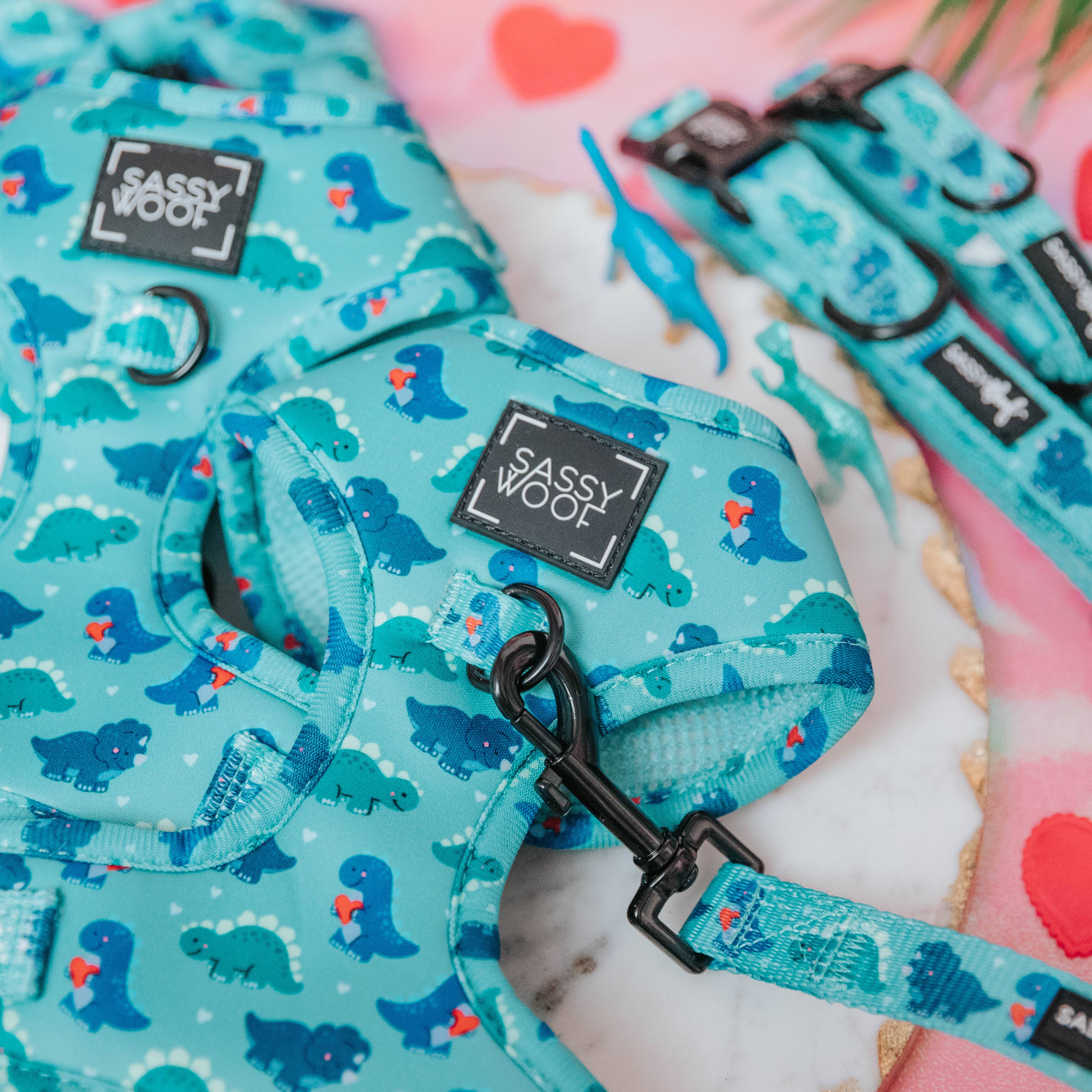 SASSY WOOF - Dog Adjustable Harness - Dino Darling: XSmall