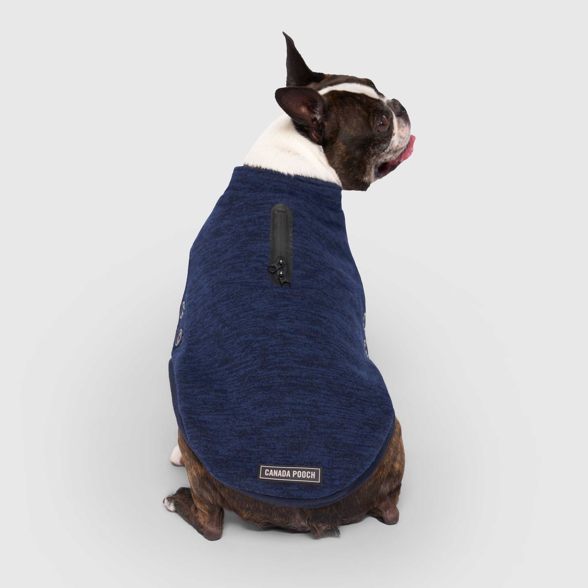 Canada Pooch - Waterproof Sweater- Dog Sweater: Gray / 10