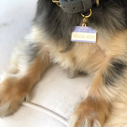 Two Tails Pet Company - Good Boy Pet ID Tag