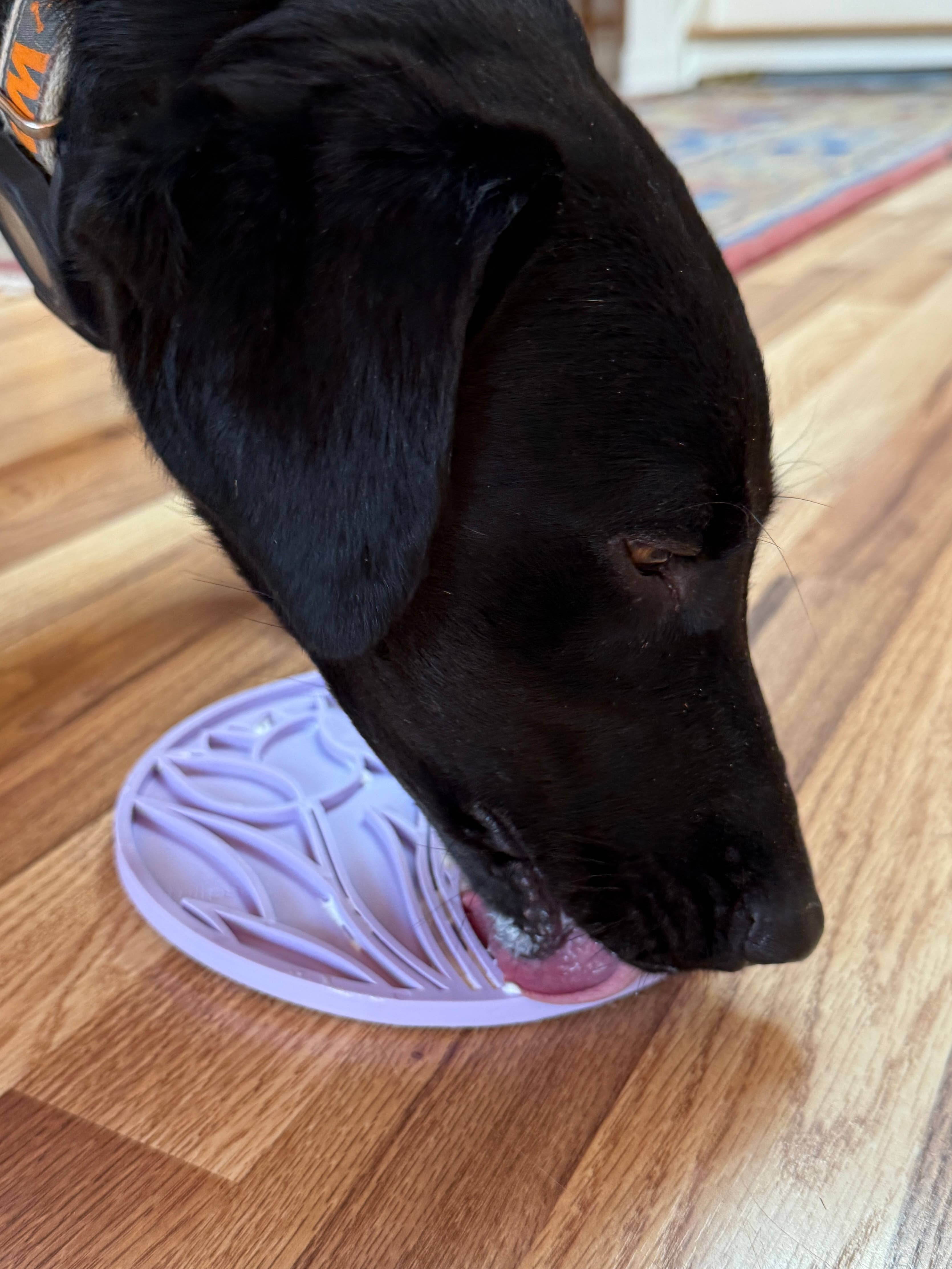 SodaPup Dog Toys - Tulip Design eMat Enrichment Lick Mat With Suction Cups: Pastel Purple Lotus emat