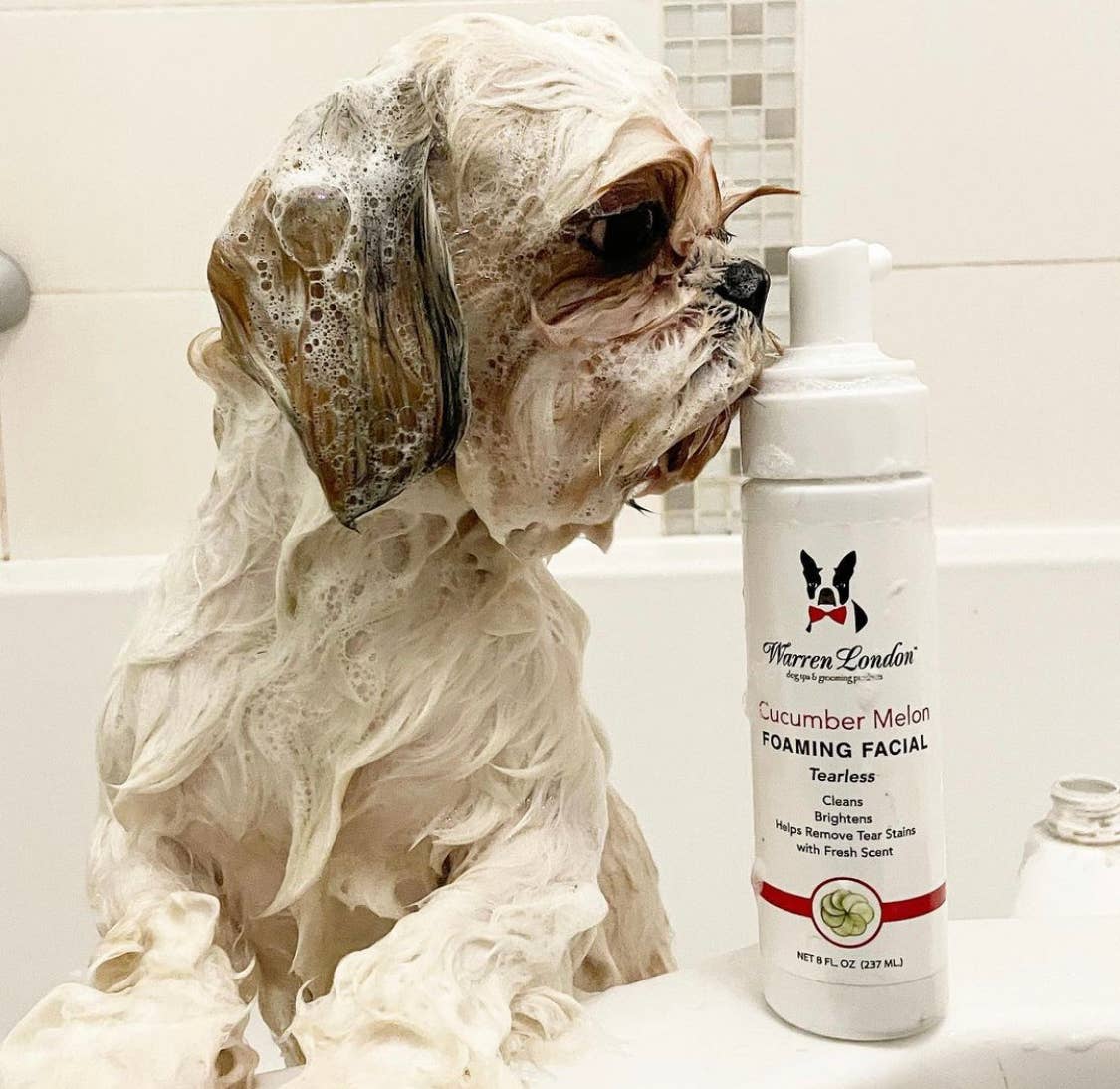 Tearless  Shampoo for Dog Faces - Cucumber Melon - 2 Sizes: 8oz