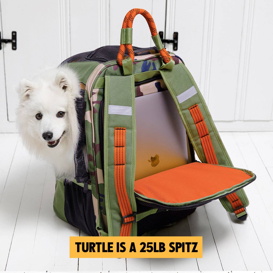 ROVERLUND - READY-FOR-ADVENTURE PET BACKPACK: CAMO / MAGENTA - UP TO 25LBS