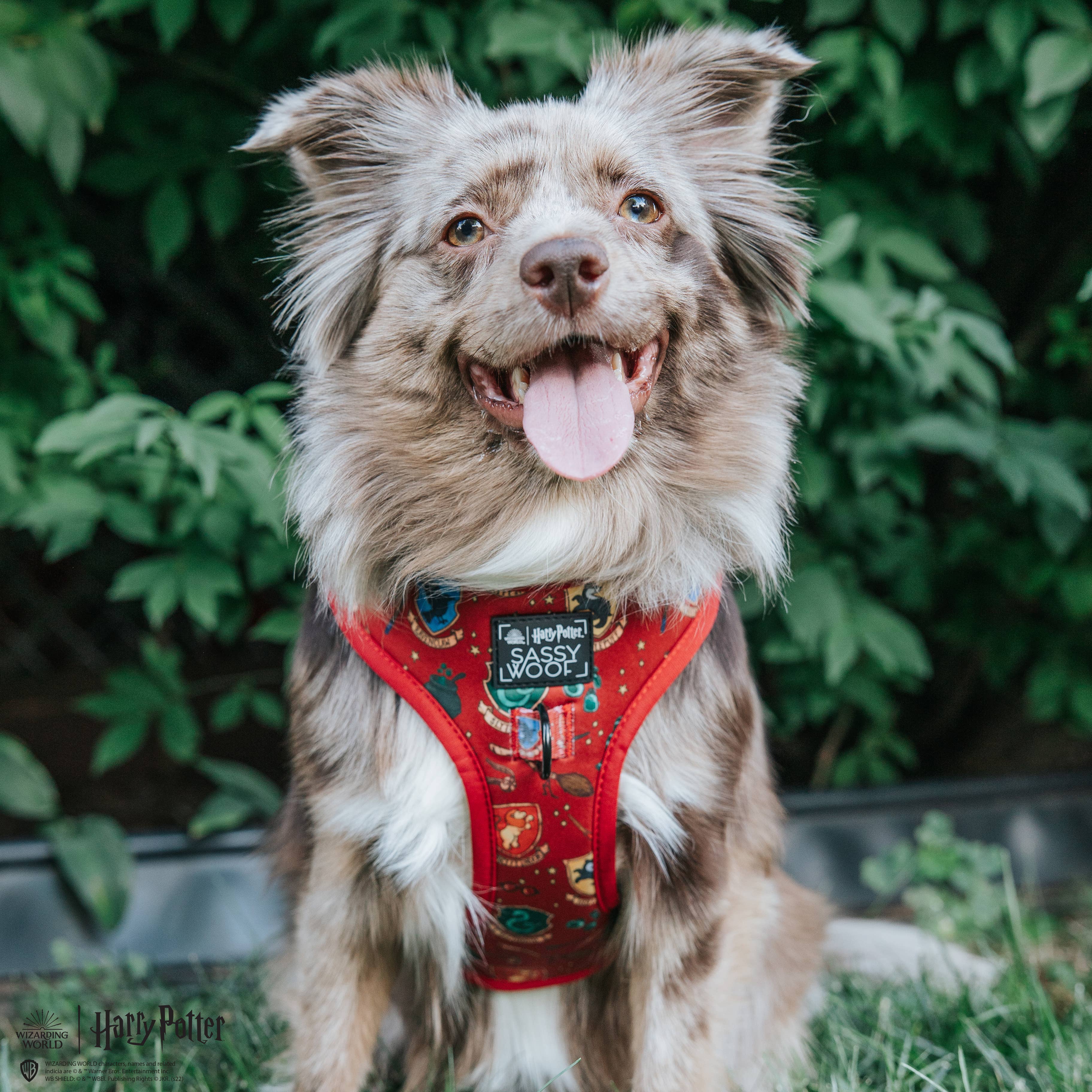 SASSY WOOF - Dog Adjustable Harness - Harry Potter: XXS