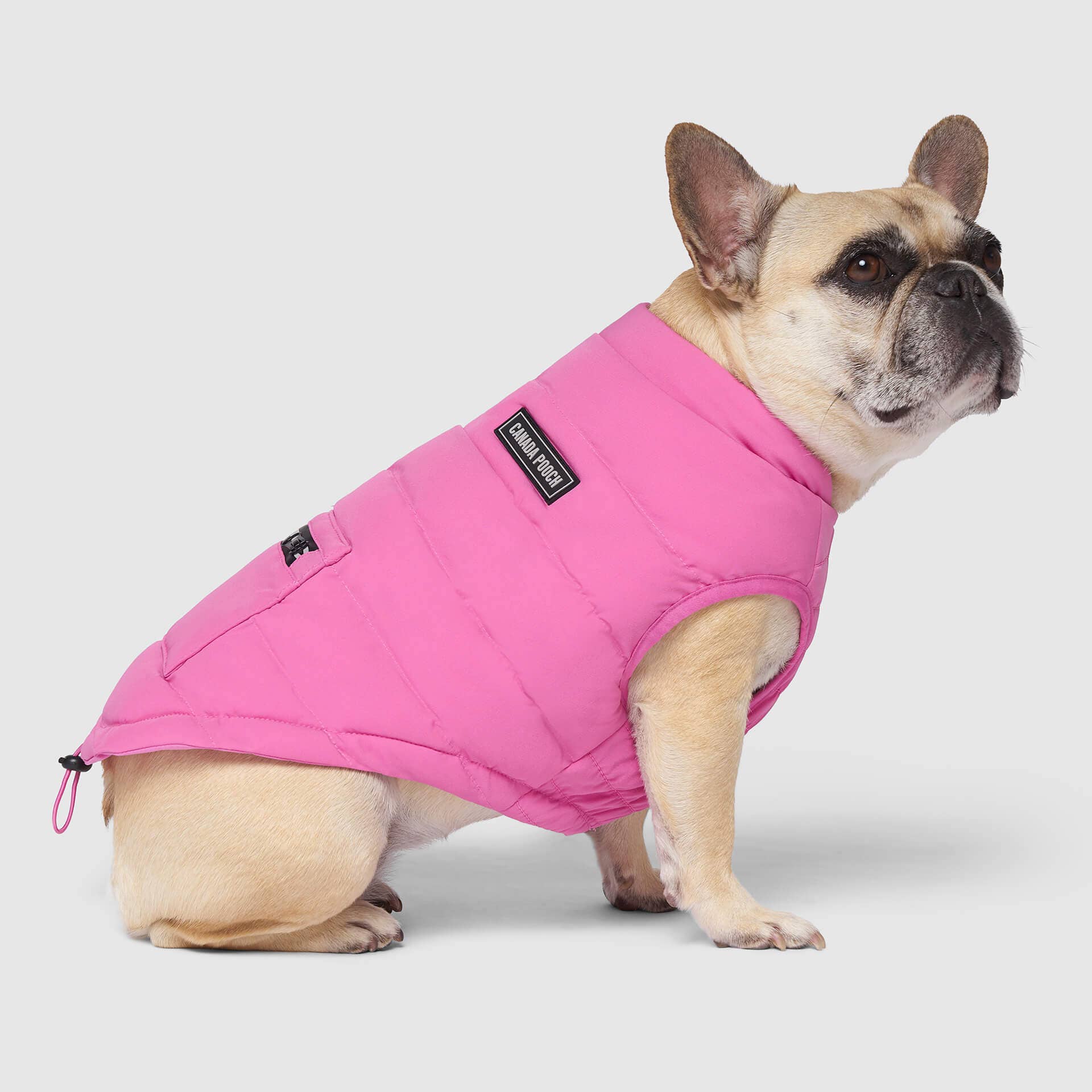 Canada Pooch - Ultimate Stretch Vest- Dog Coat: Black / 8