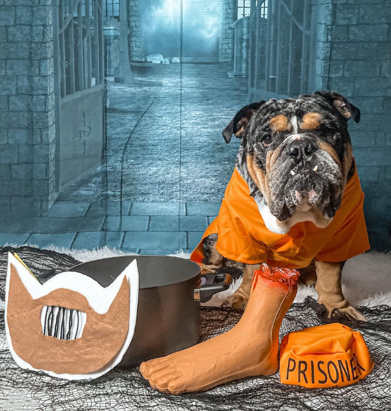 Midlee Designs - Midlee Orange Prisoner Costume: XX-Large