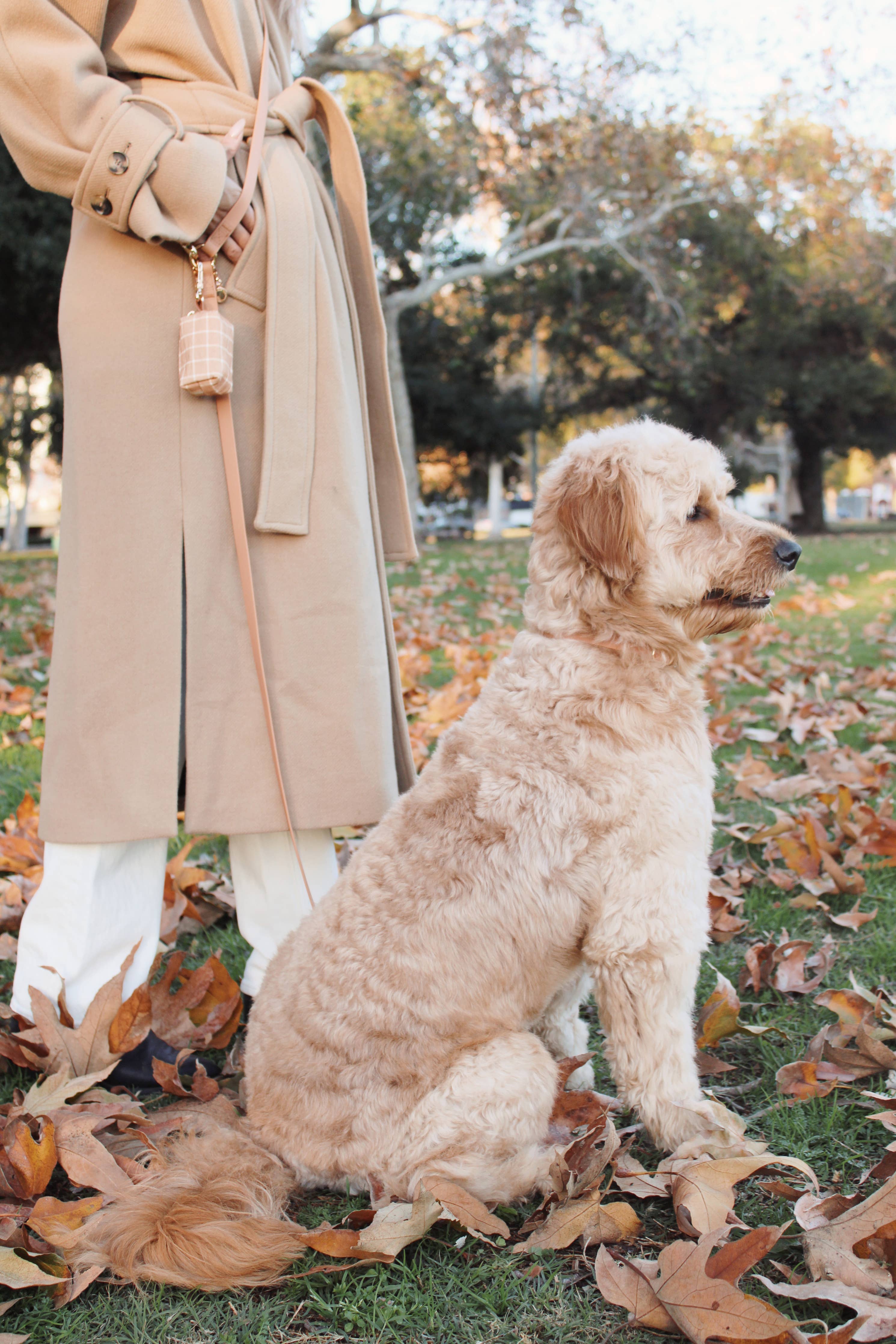 SUNNY TAILS - Chai Brown 4-in-1 Convertible Hands Free Cloud Dog Leash: Standard