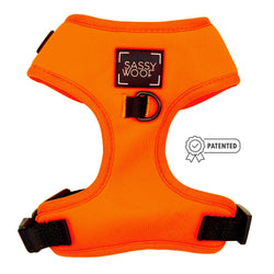 SASSY WOOF - Dog Adjustable Harness - Neon Orange: XXS