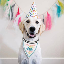 Santa Barbara Design Studio by Creative Brands - Pet Bandana - It's My Birthday And I'll Bark If I Want To