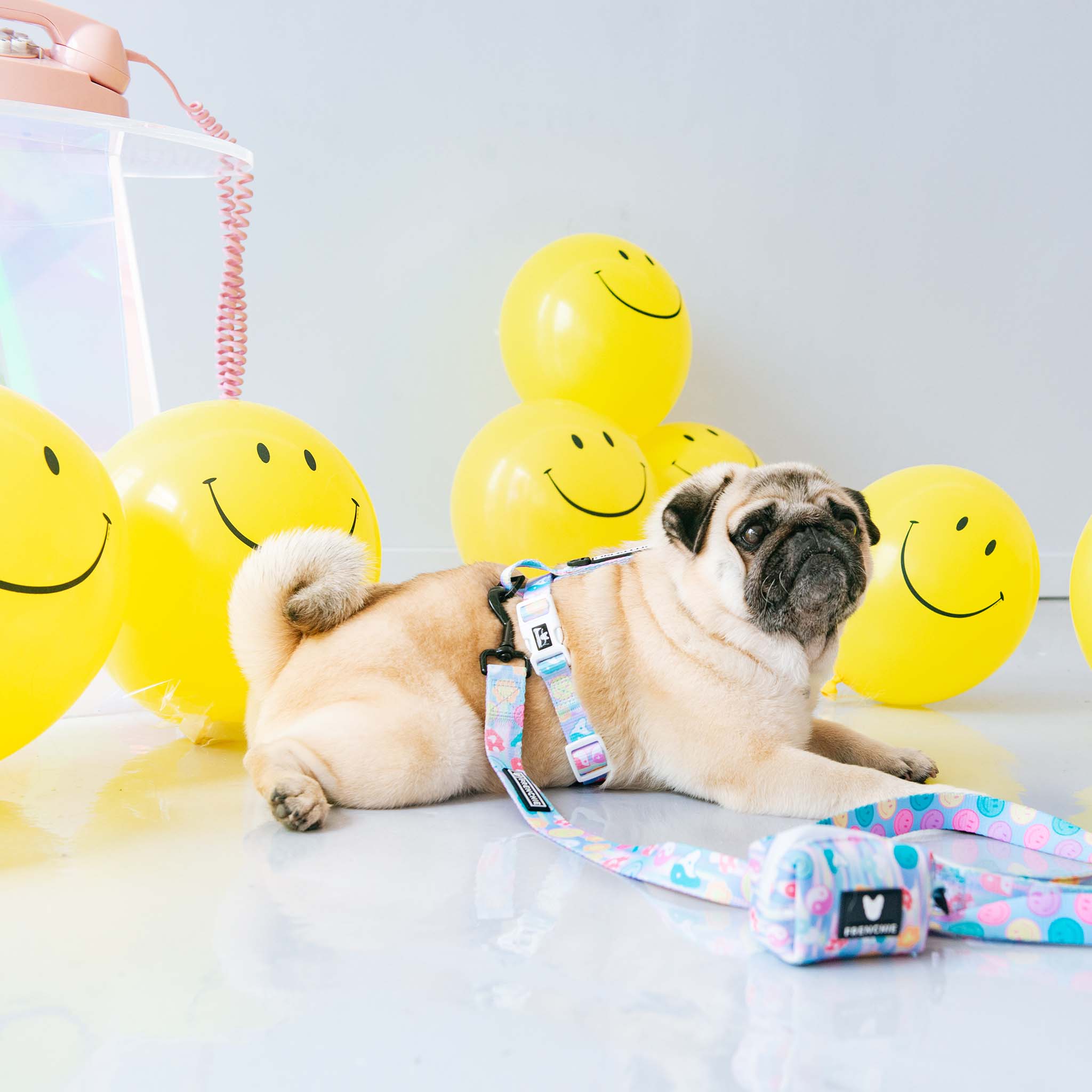 Frenchie - Frenchie Strap Harness - Good Vibes: OS