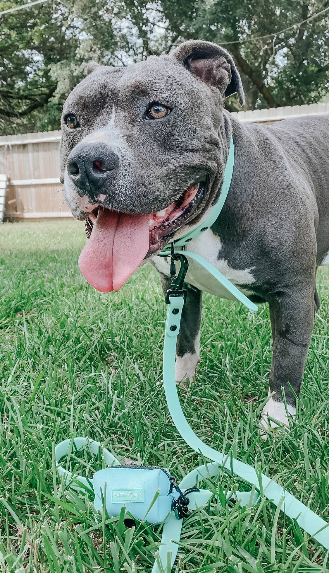 SASSY WOOF - Waterproof Dog Leash - Green