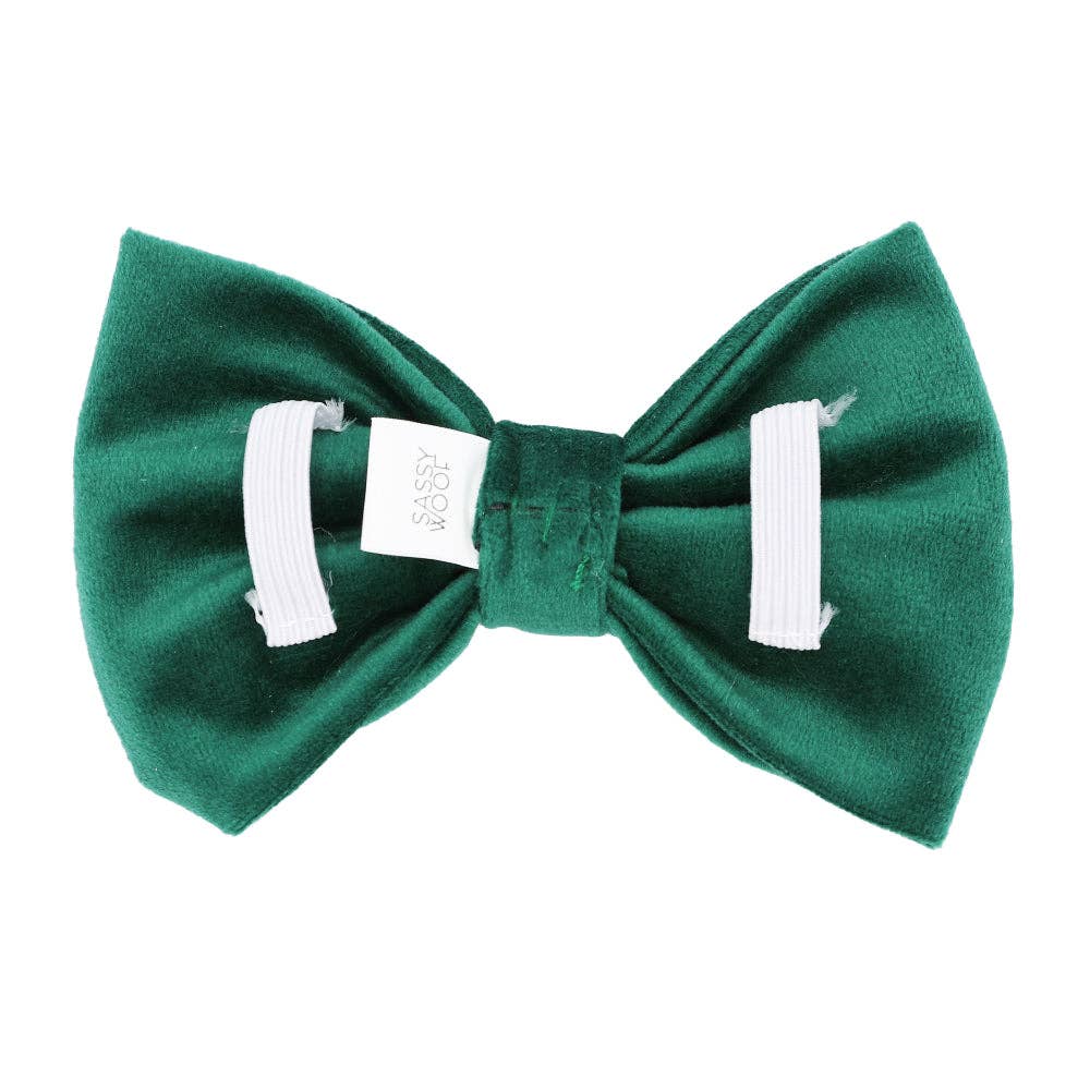 SASSY WOOF - Bowtie - Nice