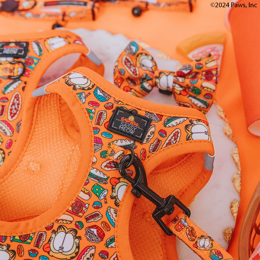 SASSY WOOF - Cat Step-In Harness - Garfield: XSmall