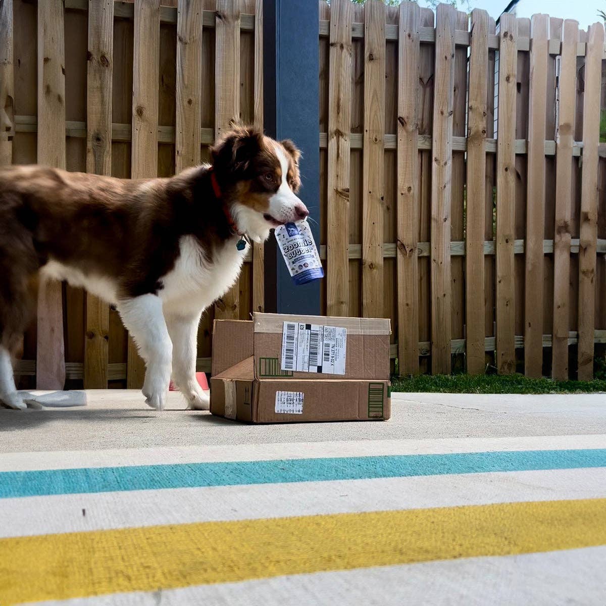 A bark above treats llc - Stress & Anxiety Squeeze Pack