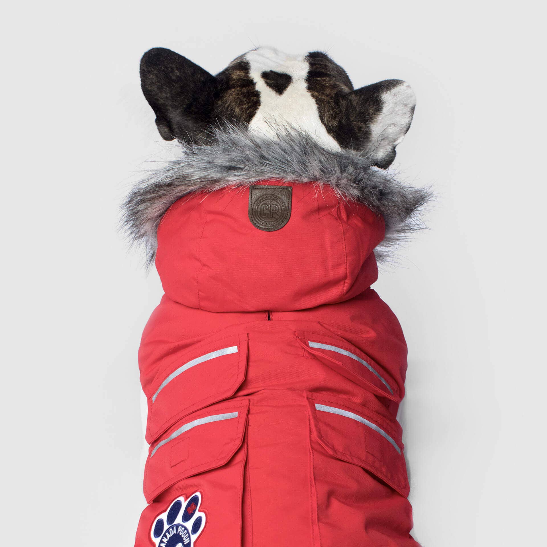 Canada Pooch - Everest Explorer Jacket- Dog Coat: Black / 8