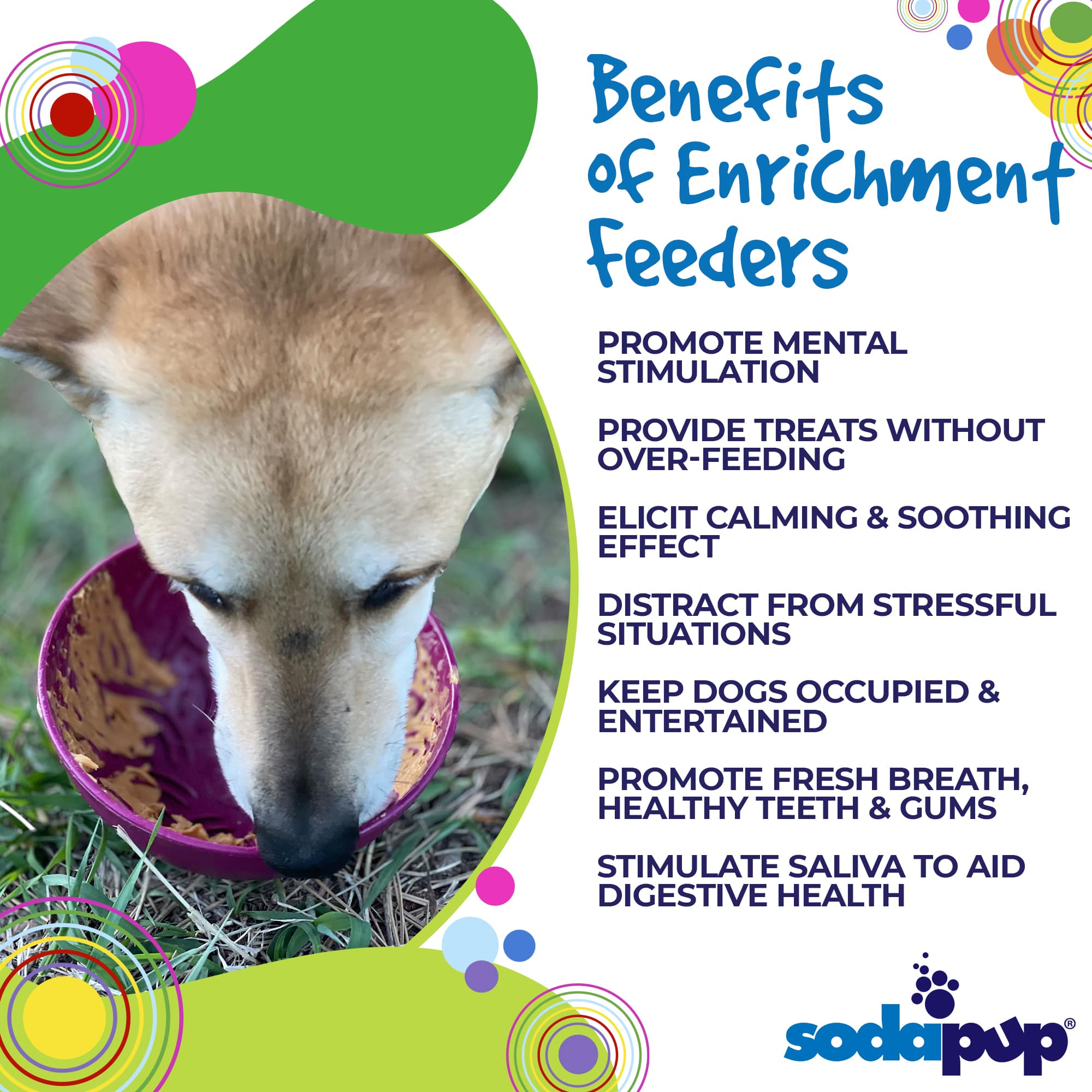 SodaPup Dog Toys - Garden of Eatin' Tipsy Bowl: Purple Garden of Eatin' Tipsy Bowl