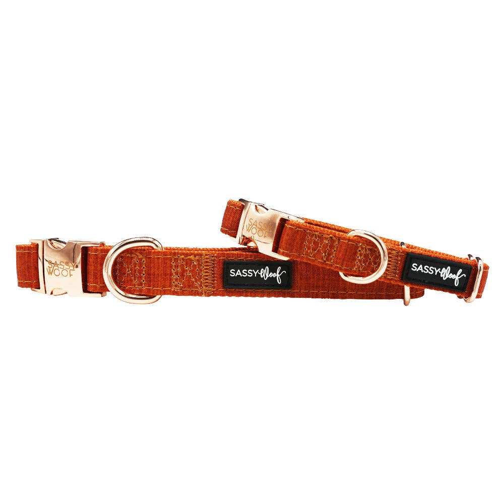 SASSY WOOF - Fall Dog Collar - Foxy: Large