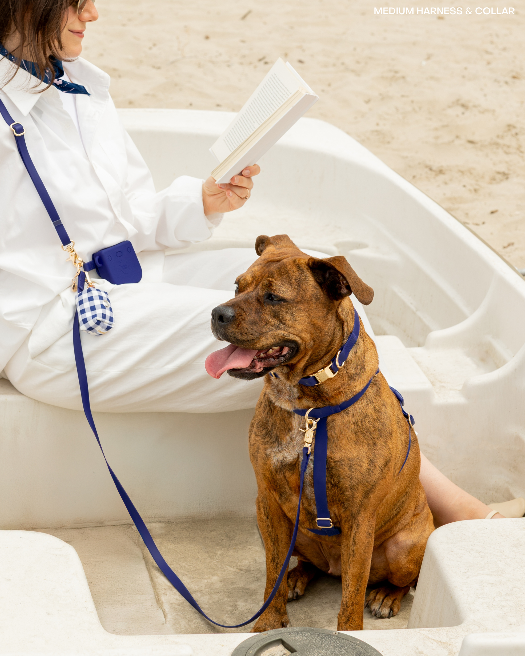 SUNNY TAILS - Signature Navy Waterproof Dog Collar: MEDIUM