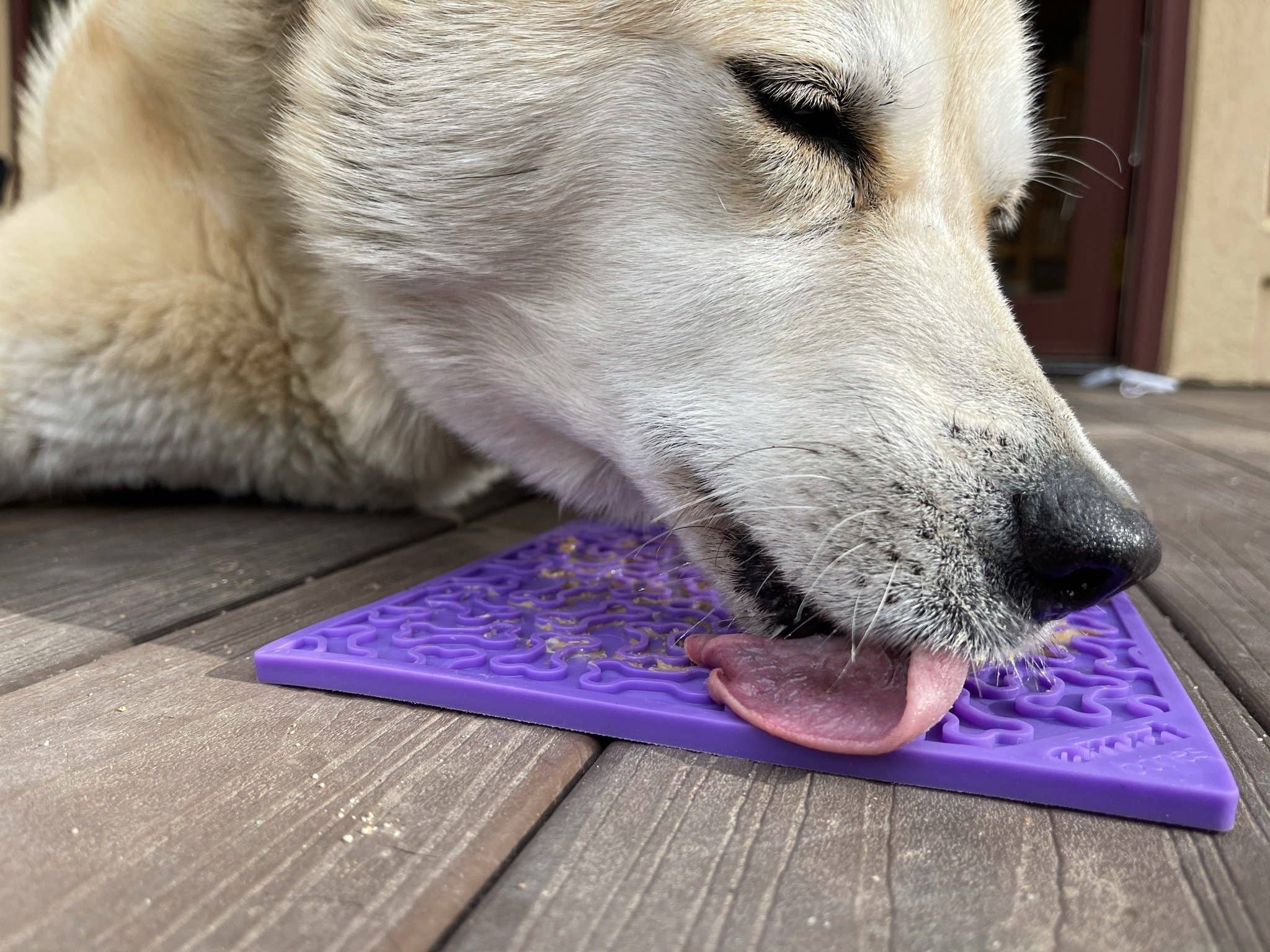 SodaPup Dog Toys - Bones Design Emat Enrichment Licking Mat: Purple Bones E-Mat
