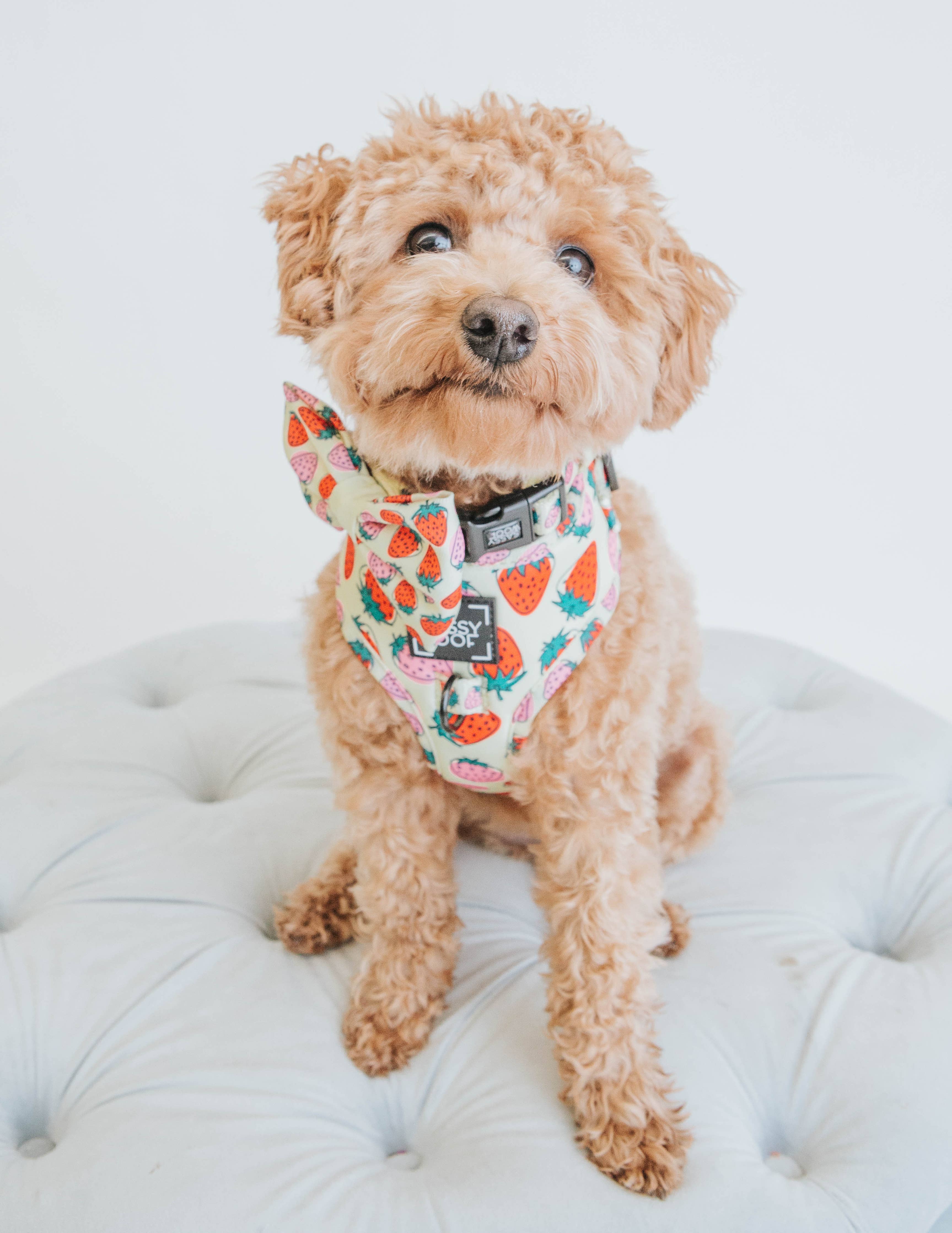 SASSY WOOF - Dog Adjustable Harness - Strawberry Fields Furever: S