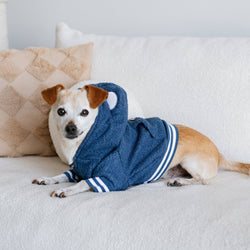 Frenchie - Frenchie Dog Hoodie - Blue Teddy: L