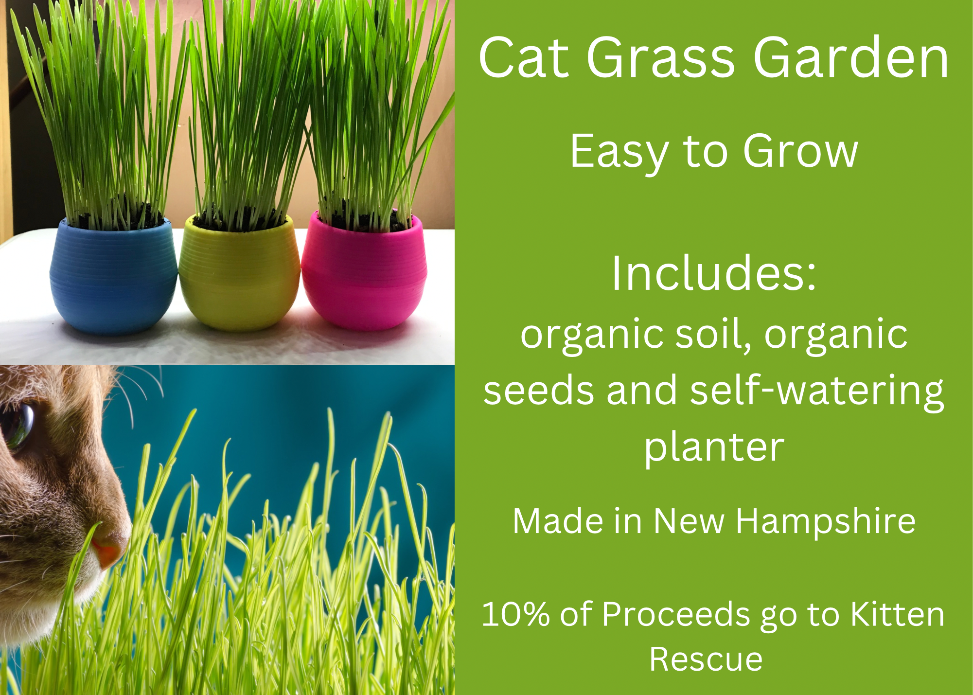 Mom’s Indoor Cat - Cat Grass Gardens