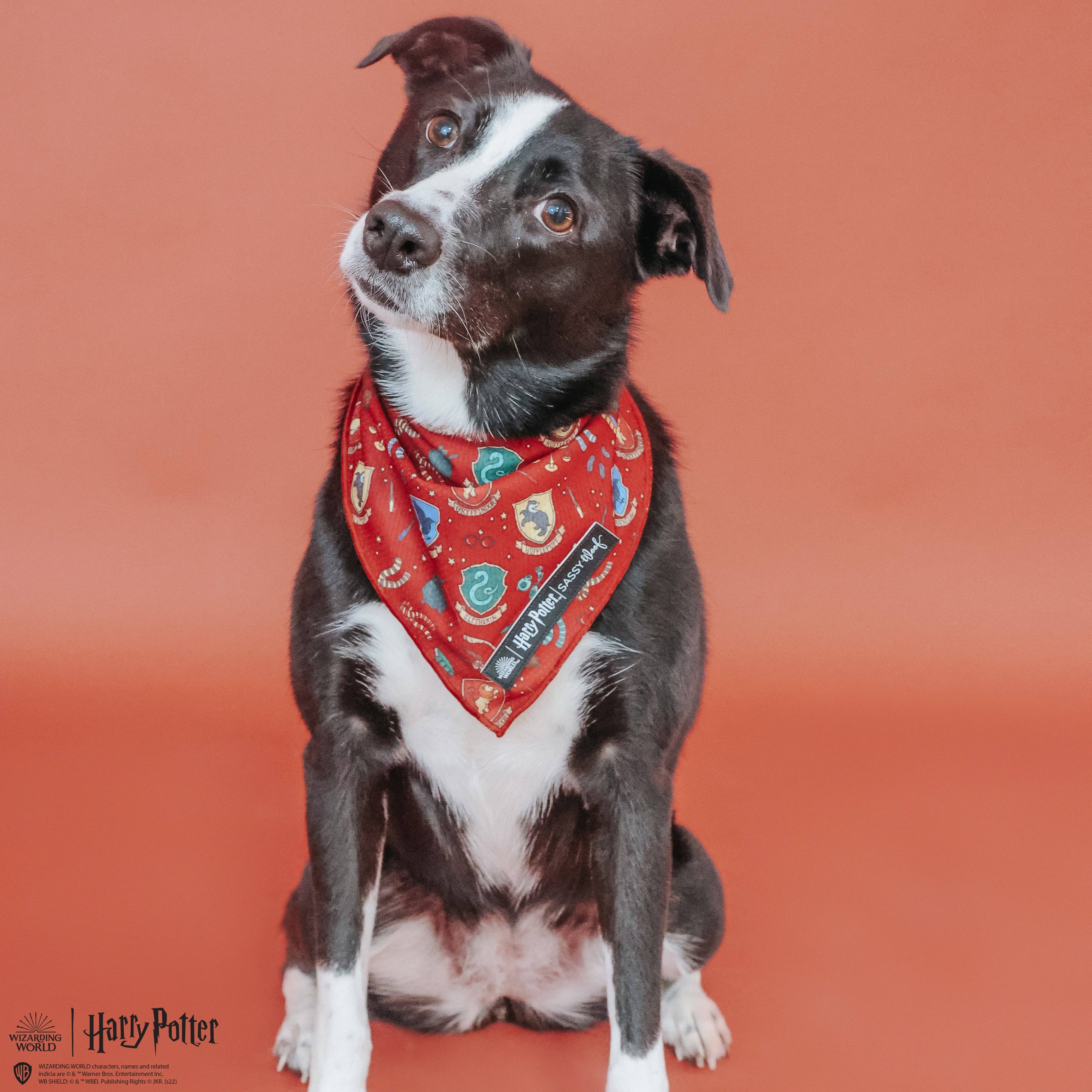 SASSY WOOF - Dog Bandana - Harry Potter™: Medium