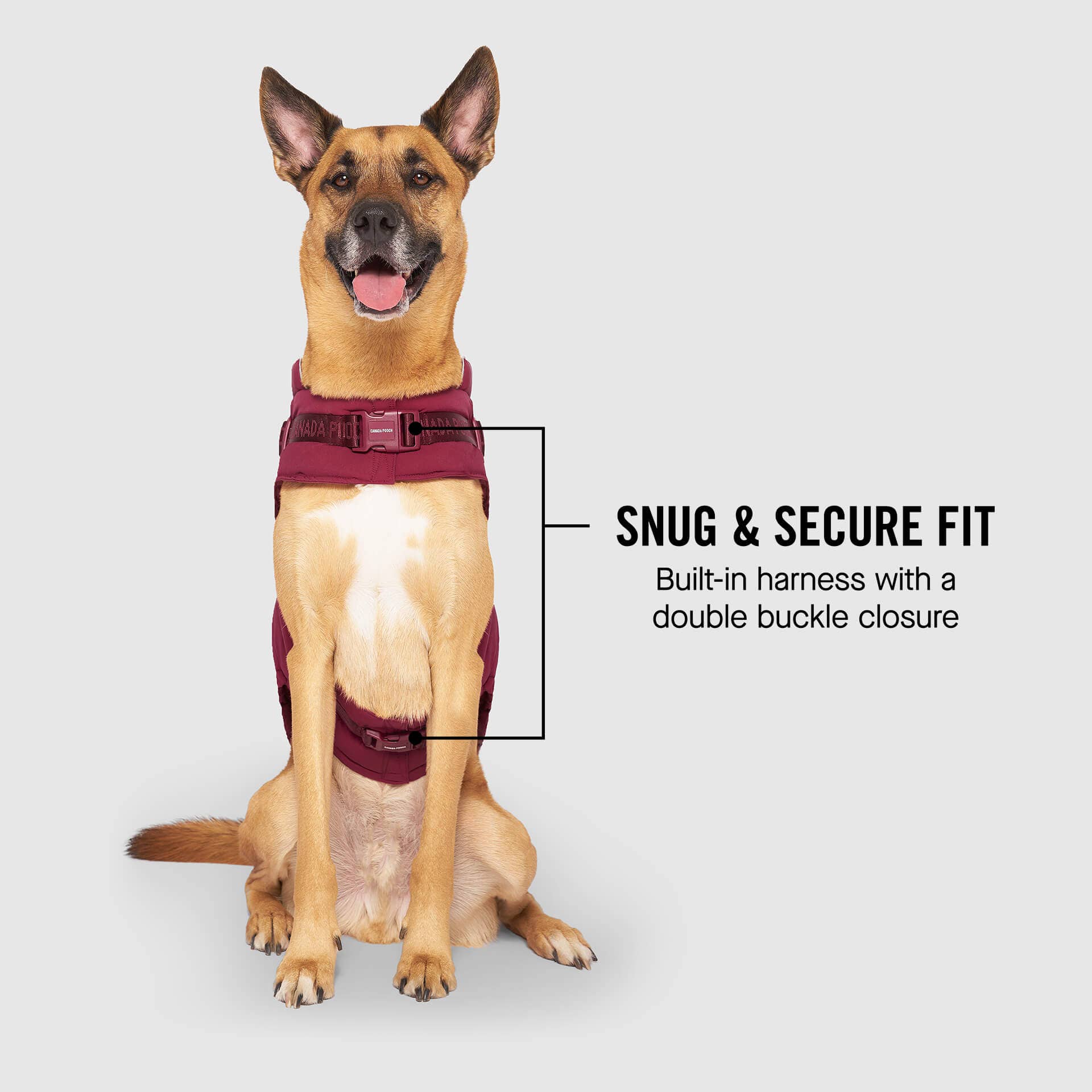 Canada Pooch - Harness Puffer- Dog Coat: Black / 10