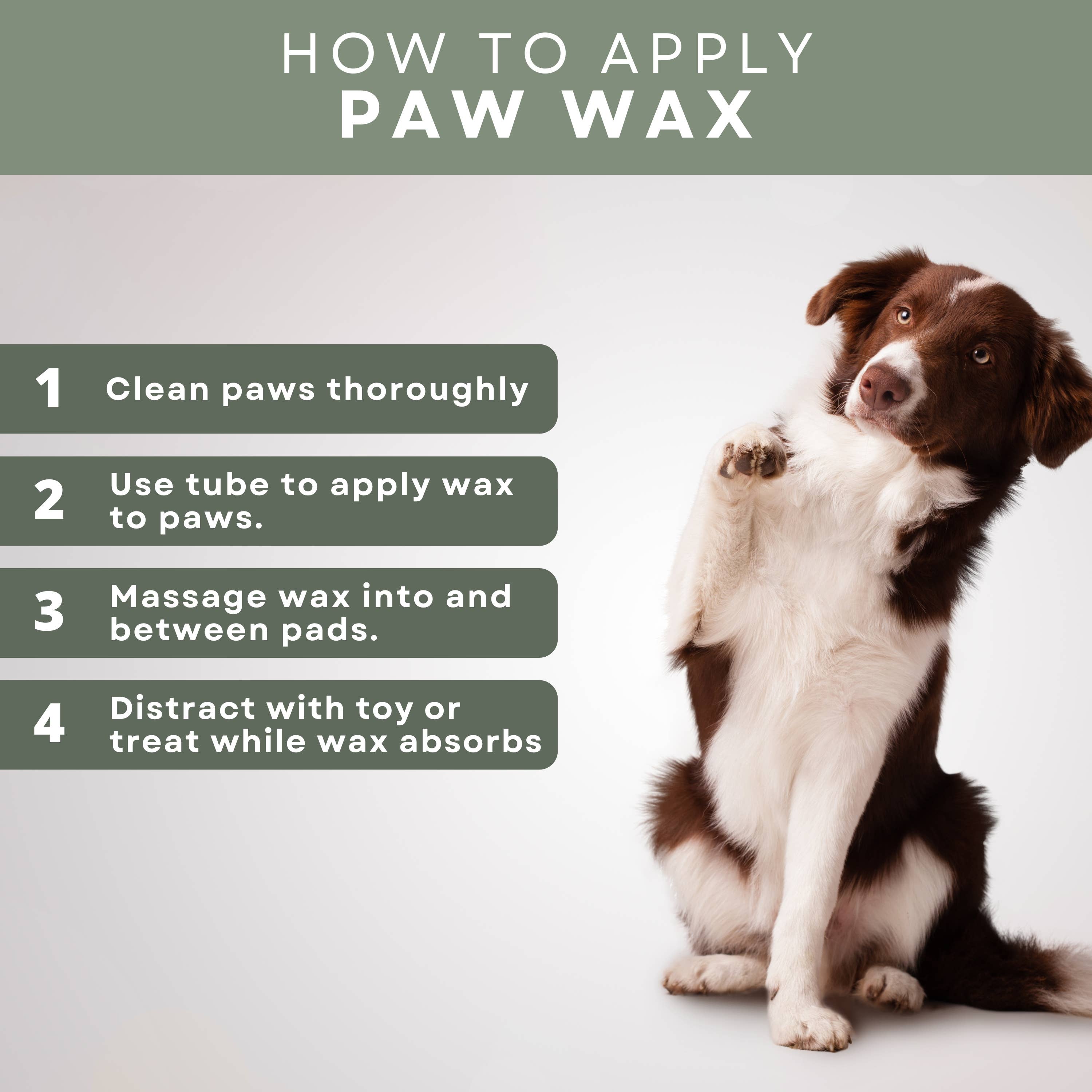 Rhino Wax - Dog All-Terrain Paw Wax Kit - 6 pieces