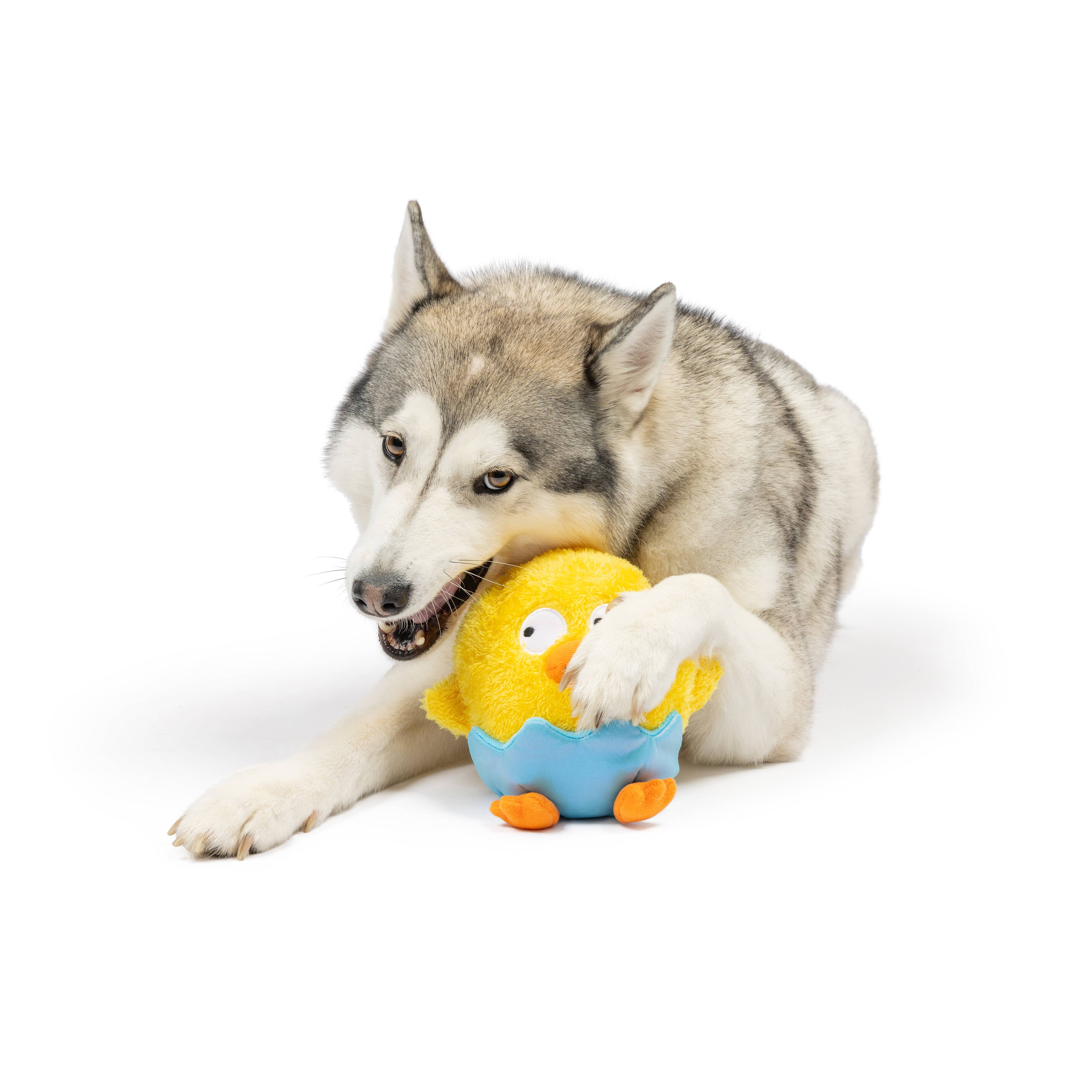 Huxley & Kent - Chick-A-Dee Dog Toy: Small