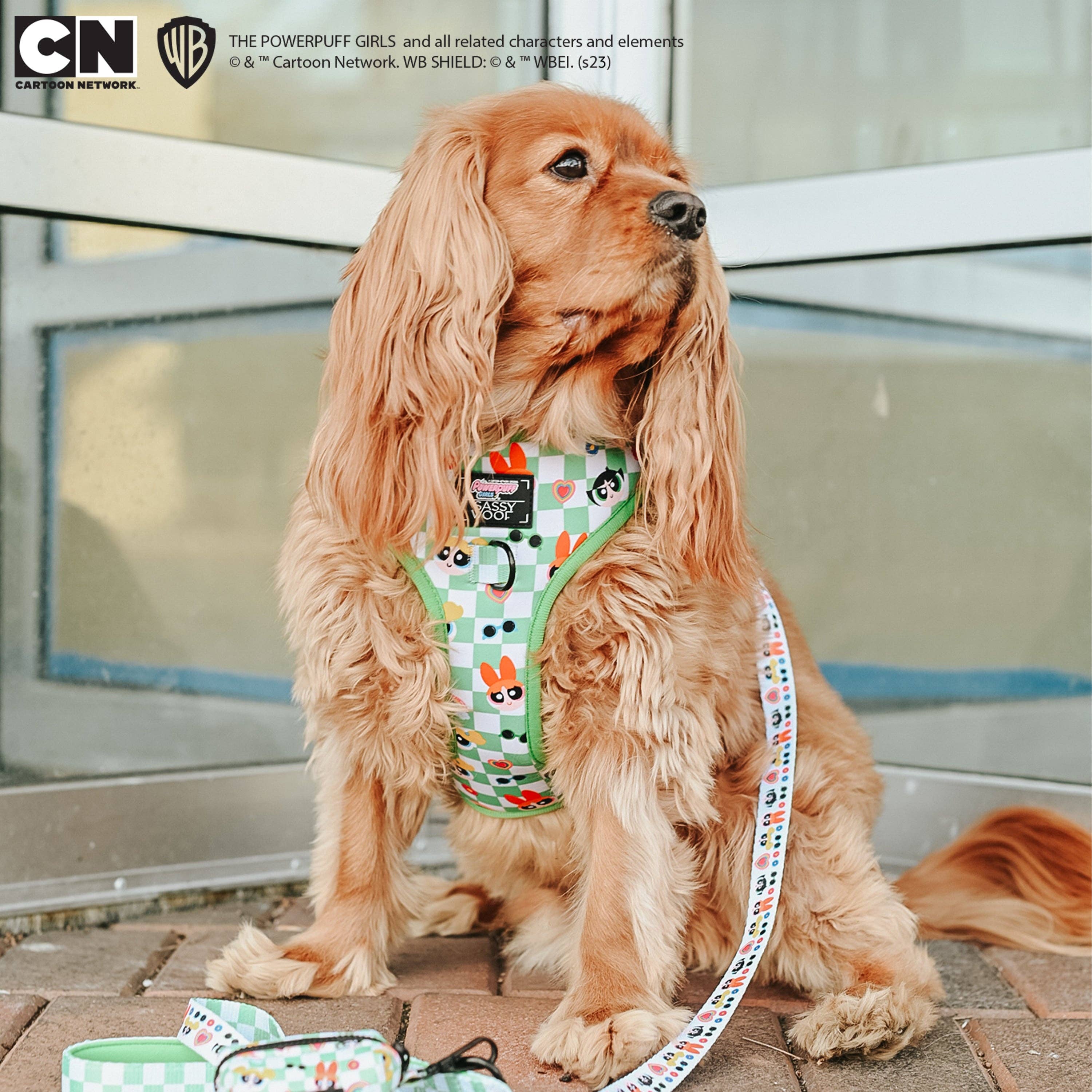 SASSY WOOF - Dog Leash - The Powerpuff Girls™ (Green)