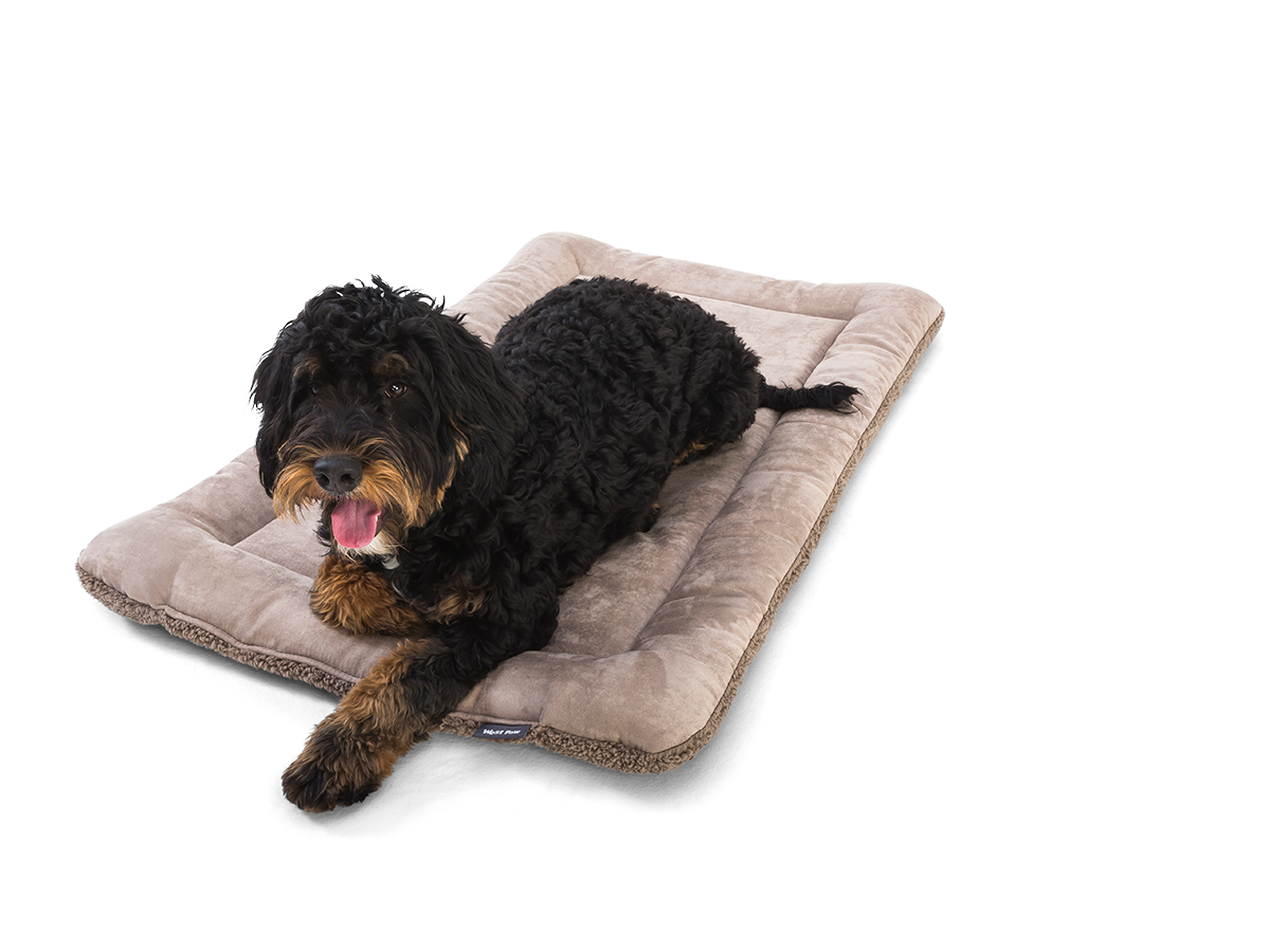West Paw - Big Sky Nap® Dog Bed Crate Mat: L / Oatmeal